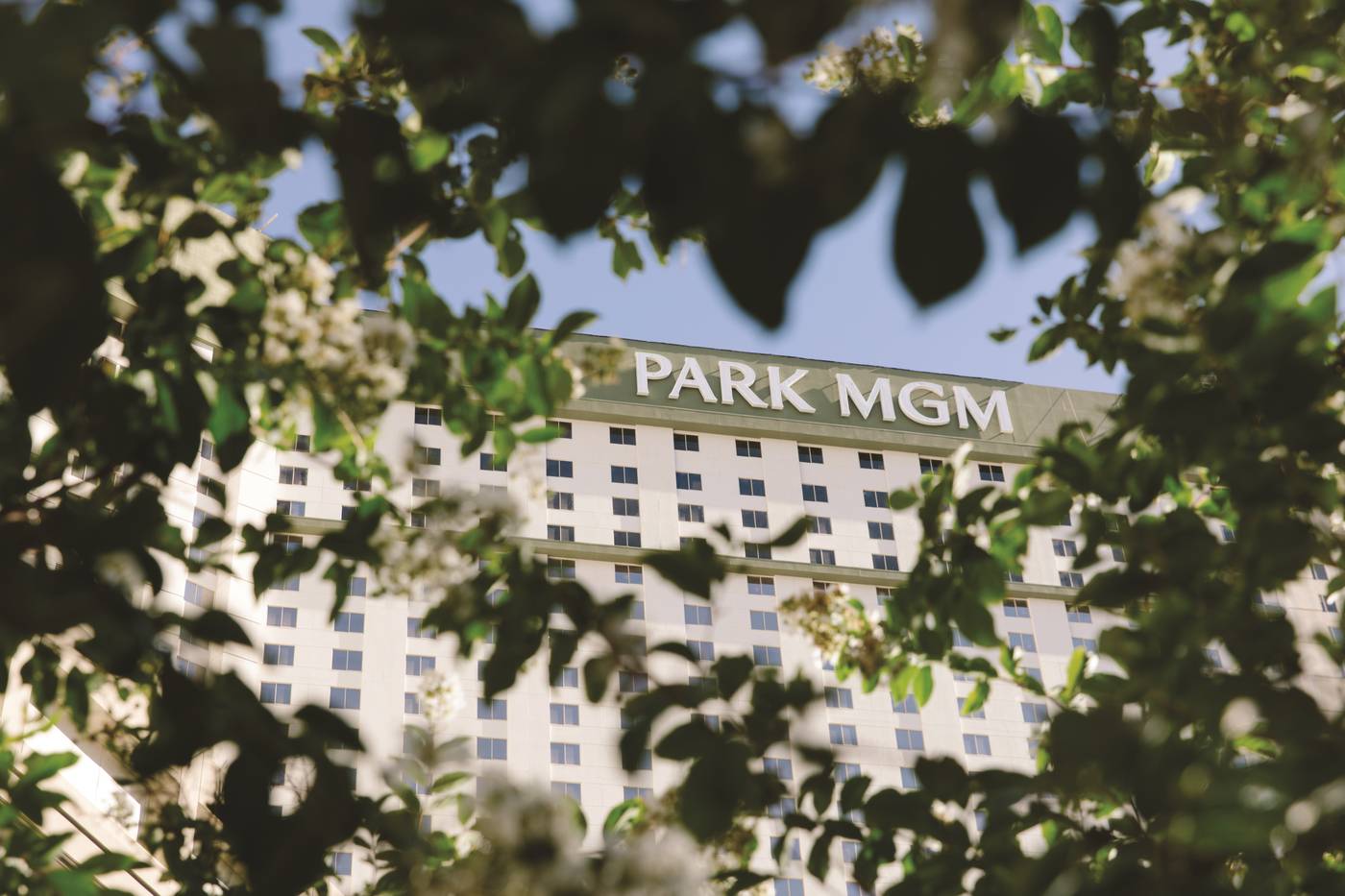 Park MGM Las Vegas-United States-LAS VEGAS-General view-2