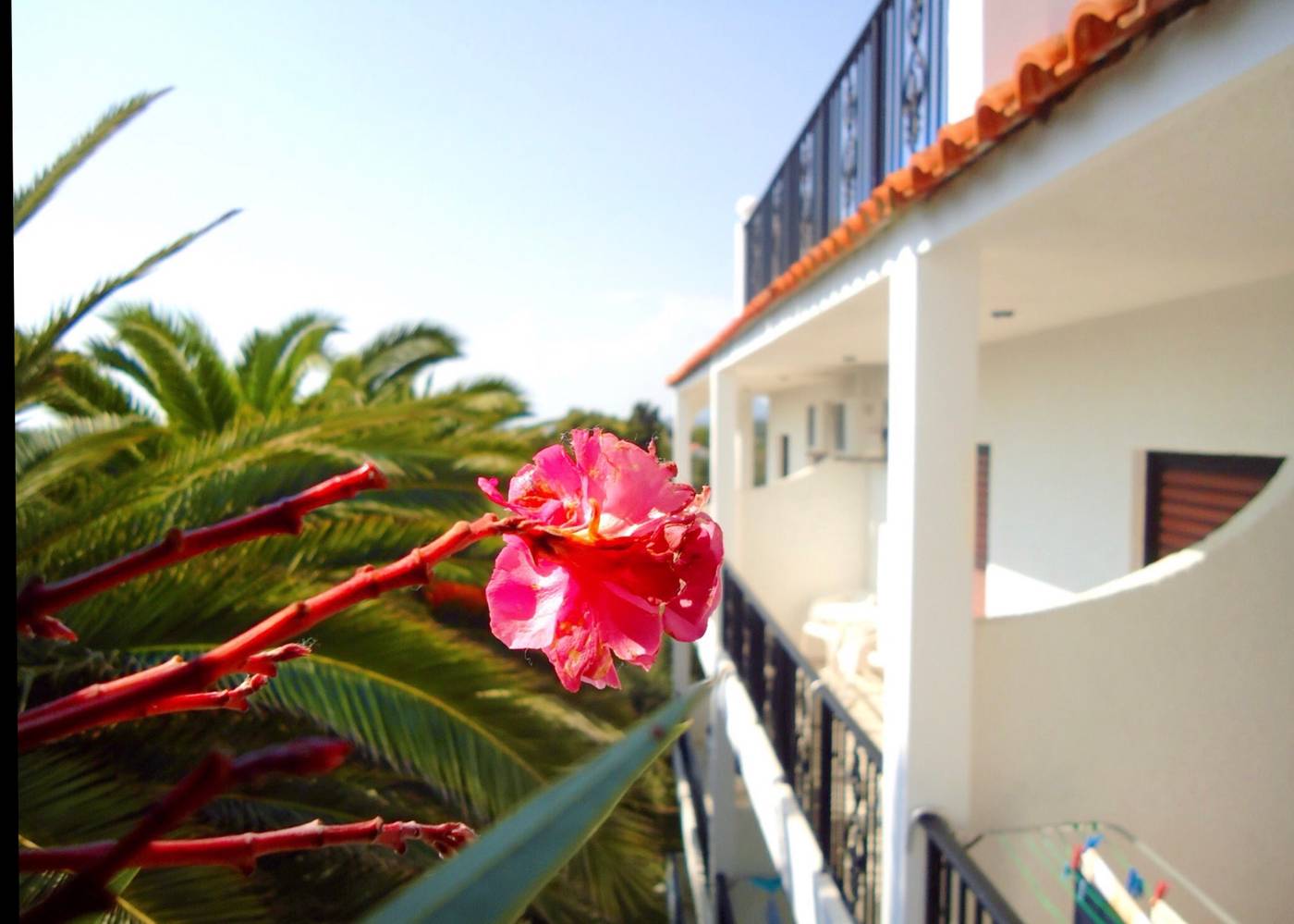 Bruskos-Hotel-and-Suites-Terrace-18