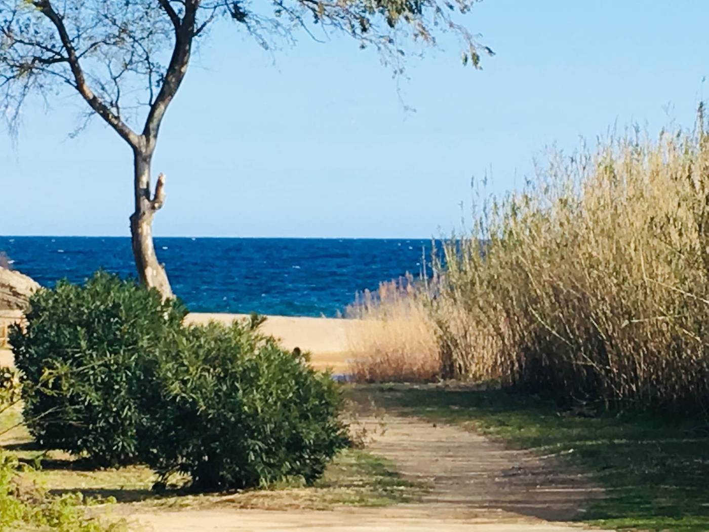 Le-Clos-Des-Sept-Palmiers-Room-73