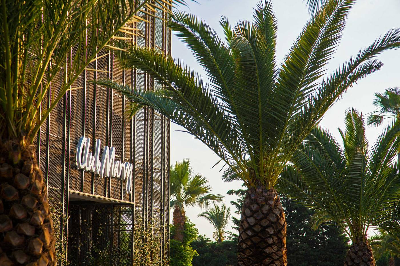 Club-Marvy-By-Paloma-General-view-9