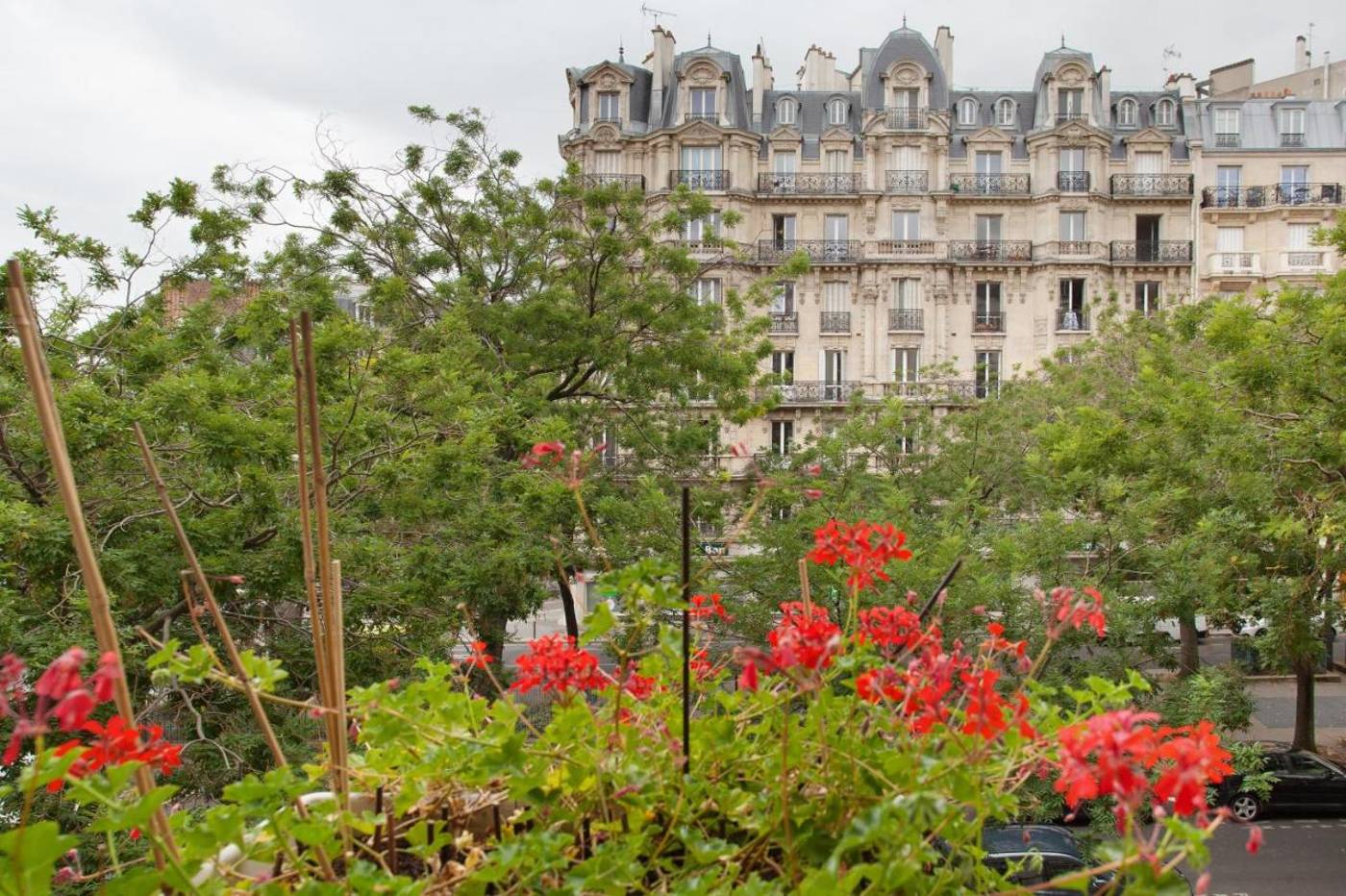 Lux-Picpus-General-view-5