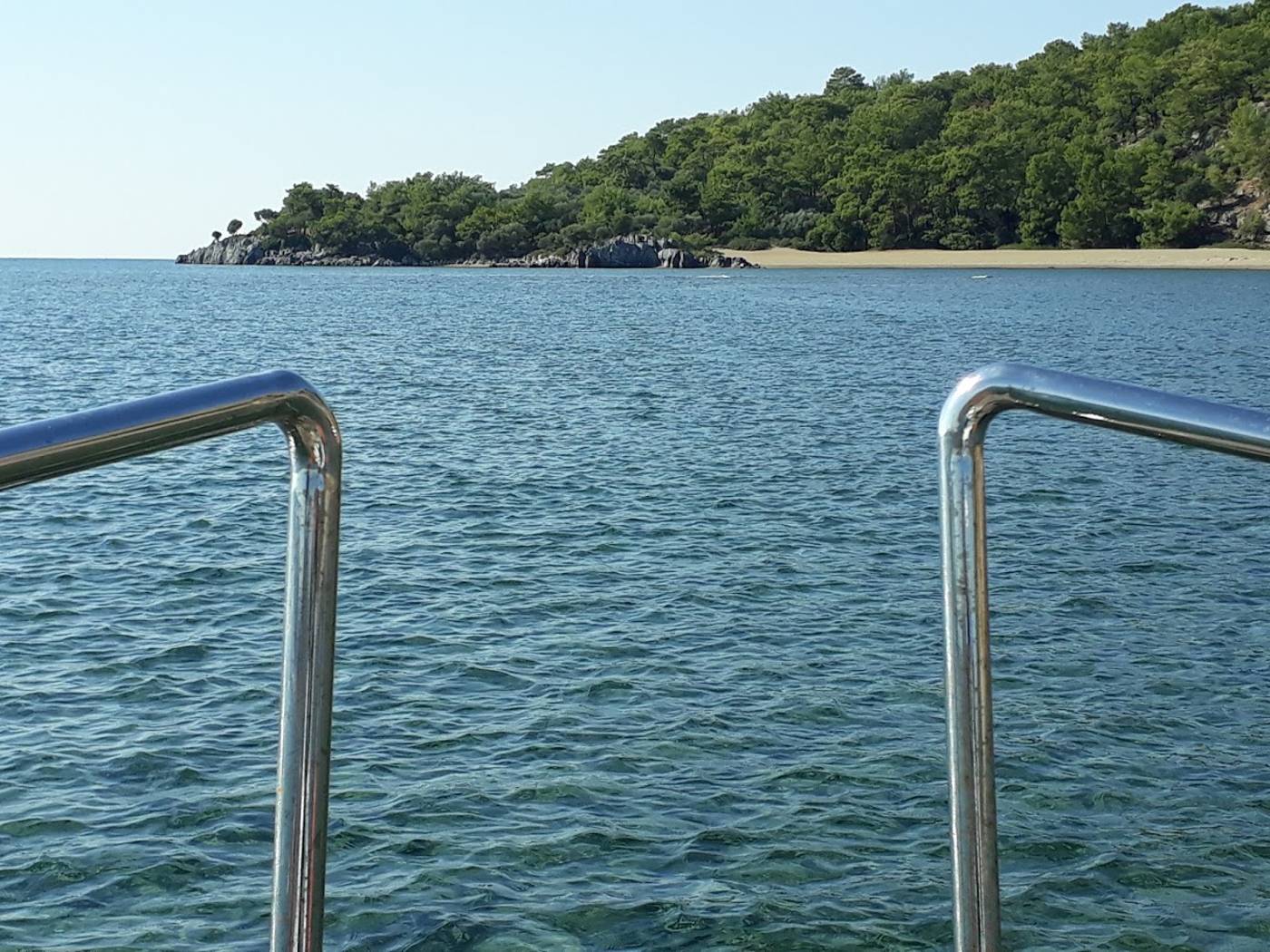 Dolphin-Apart-Beach-49