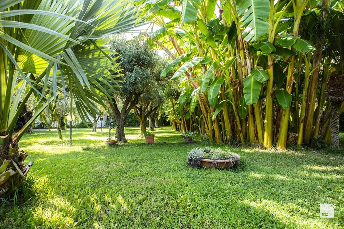 Tonicello Resort & SPA-Italy-CAPO VATICANO NEAR TROPEA-General view-9
