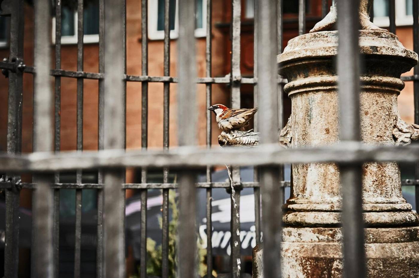 Hotel Hauser-Germany-NUREMBERG-General view-5