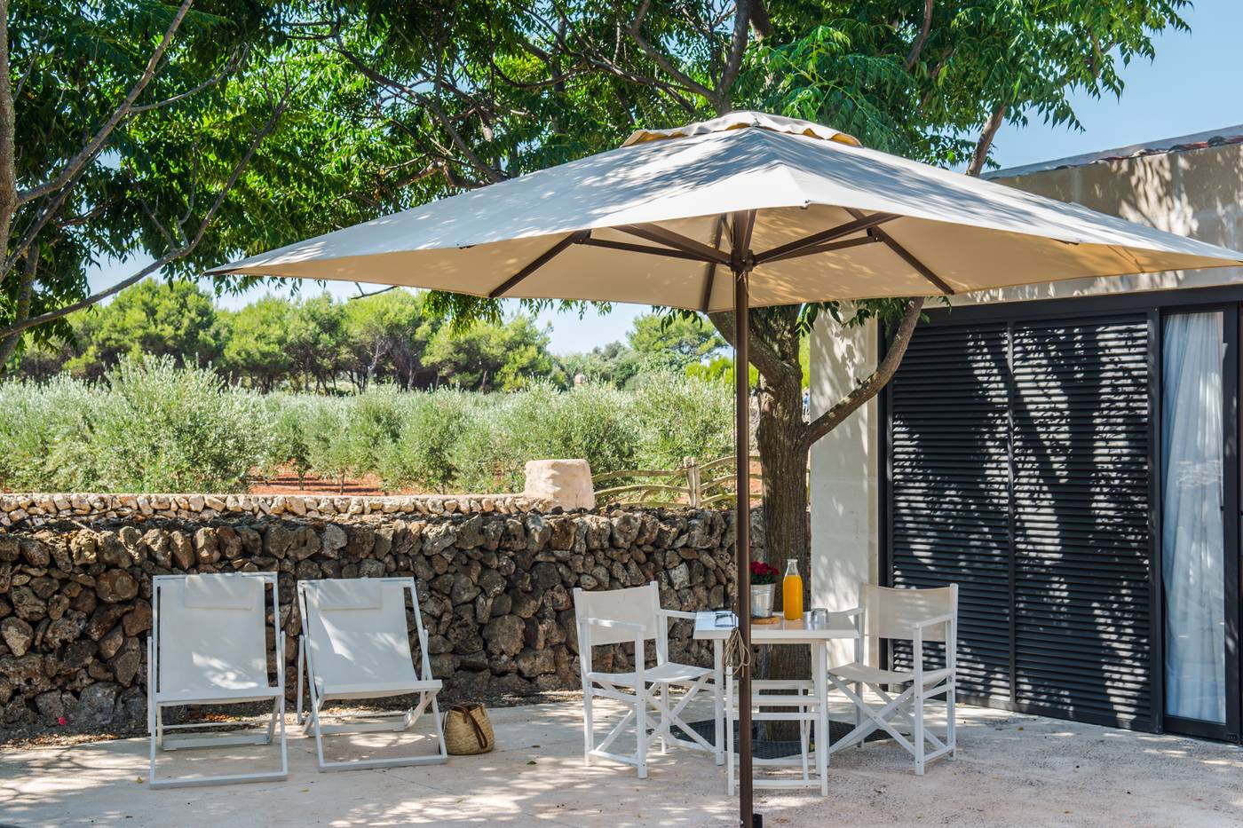 Rural-Sant-Joan-de-Binissaida-General-view-16