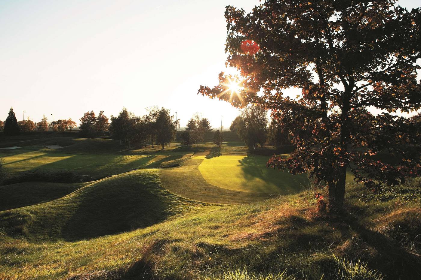 Radisson-Blu-Hotel-Paris--Marne-la-Vallee-Sports-and-Entertainment-72