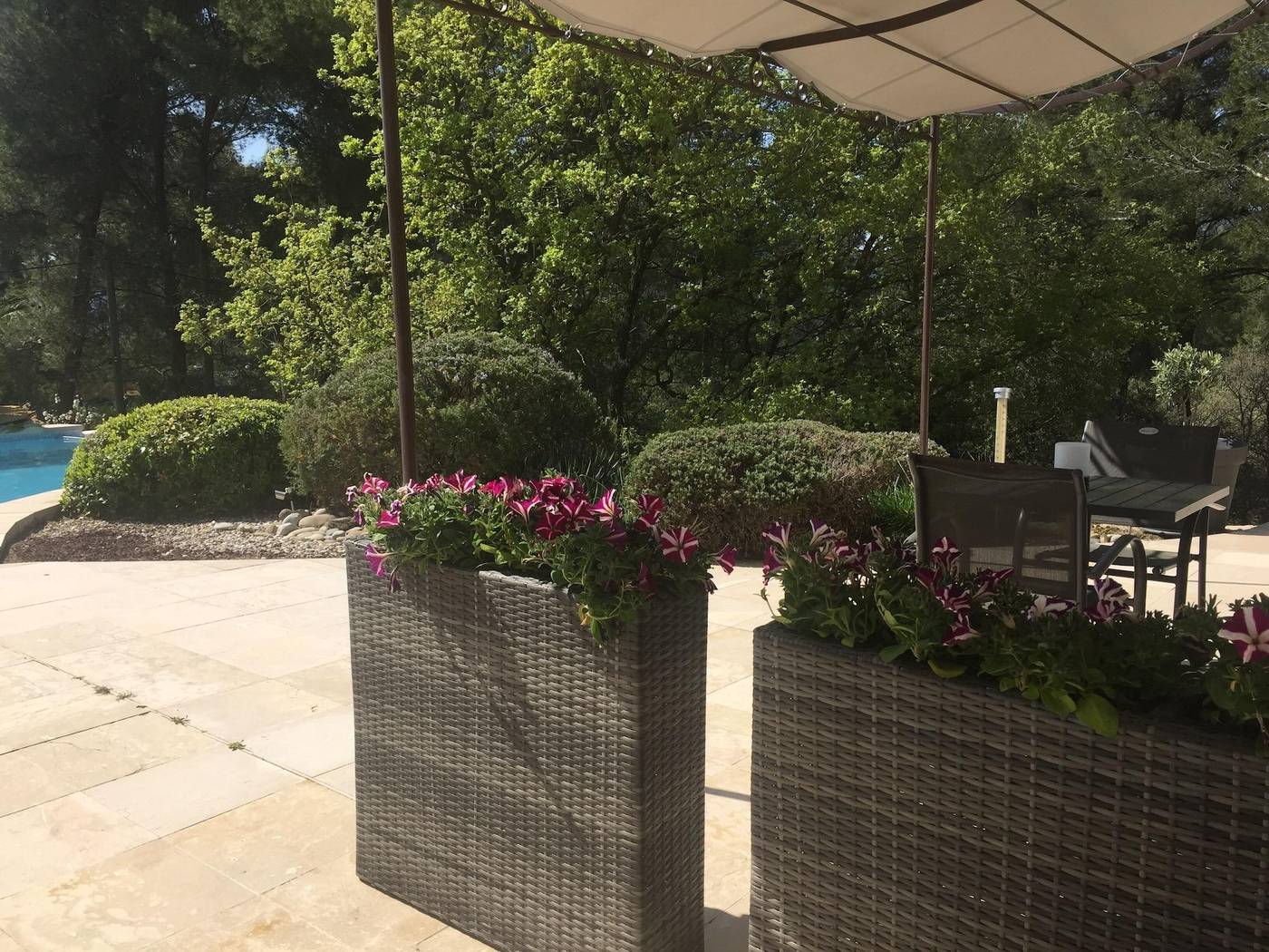 Une Pause En Provence-France-LE BEAUSSET-General view-2