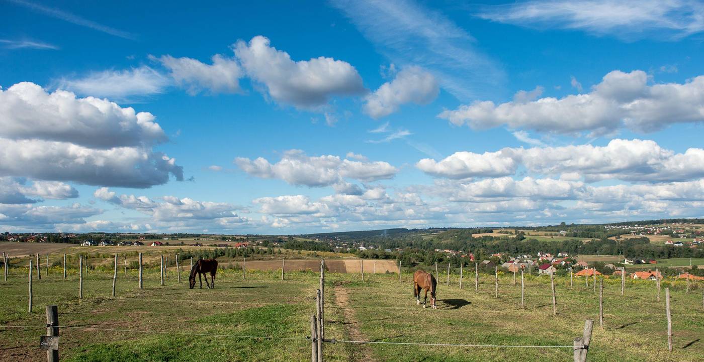 Szary-Residence-Terrace-29