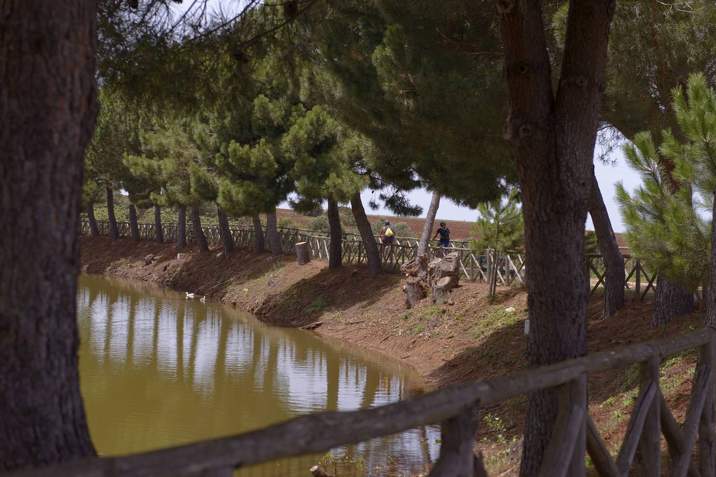 Popilia Country Resort-Italy-MAIERATO (VV)-General view-5