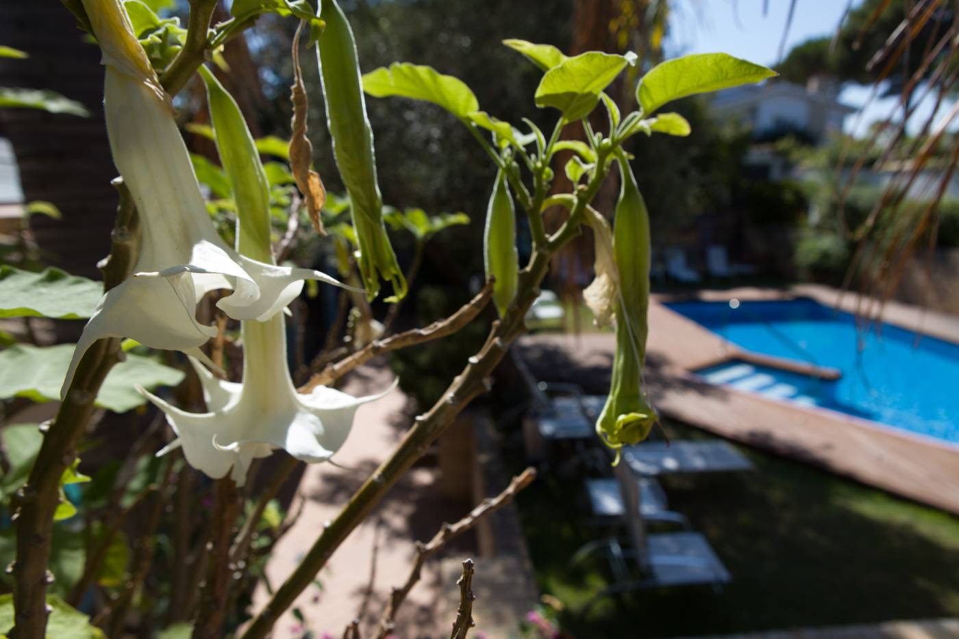 Los-Jandalos-Vistahermosa-Pool-22