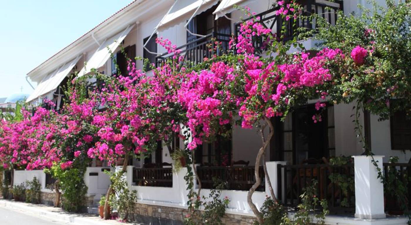 Angeliki Hotel in Samos, Greece