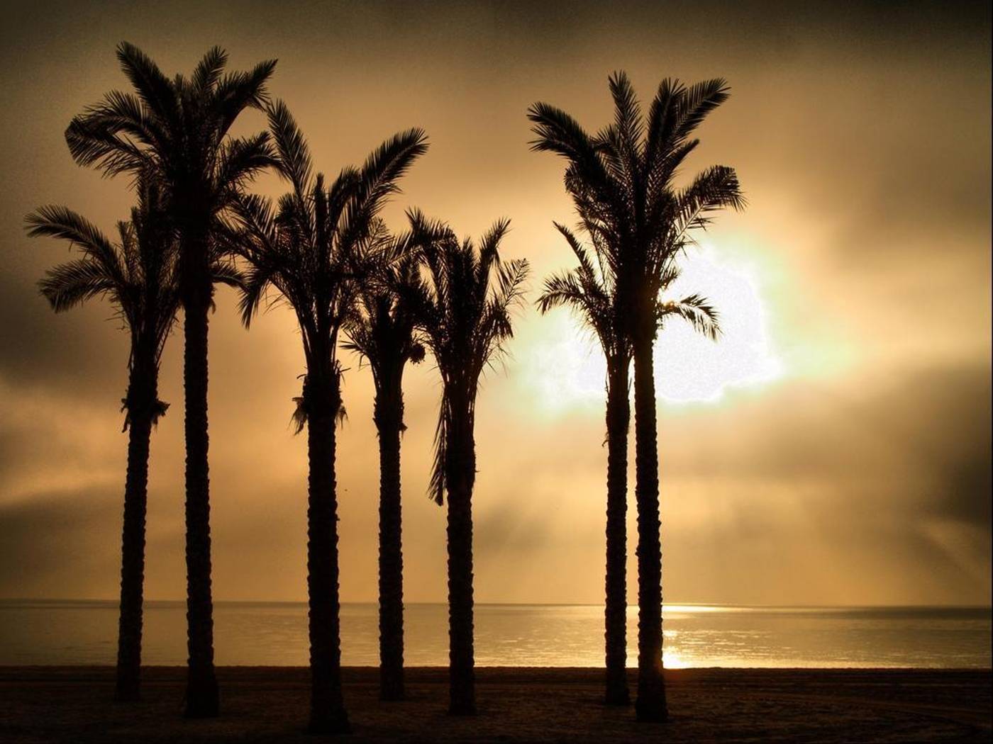 Estrella-de-Mar-General-view-11