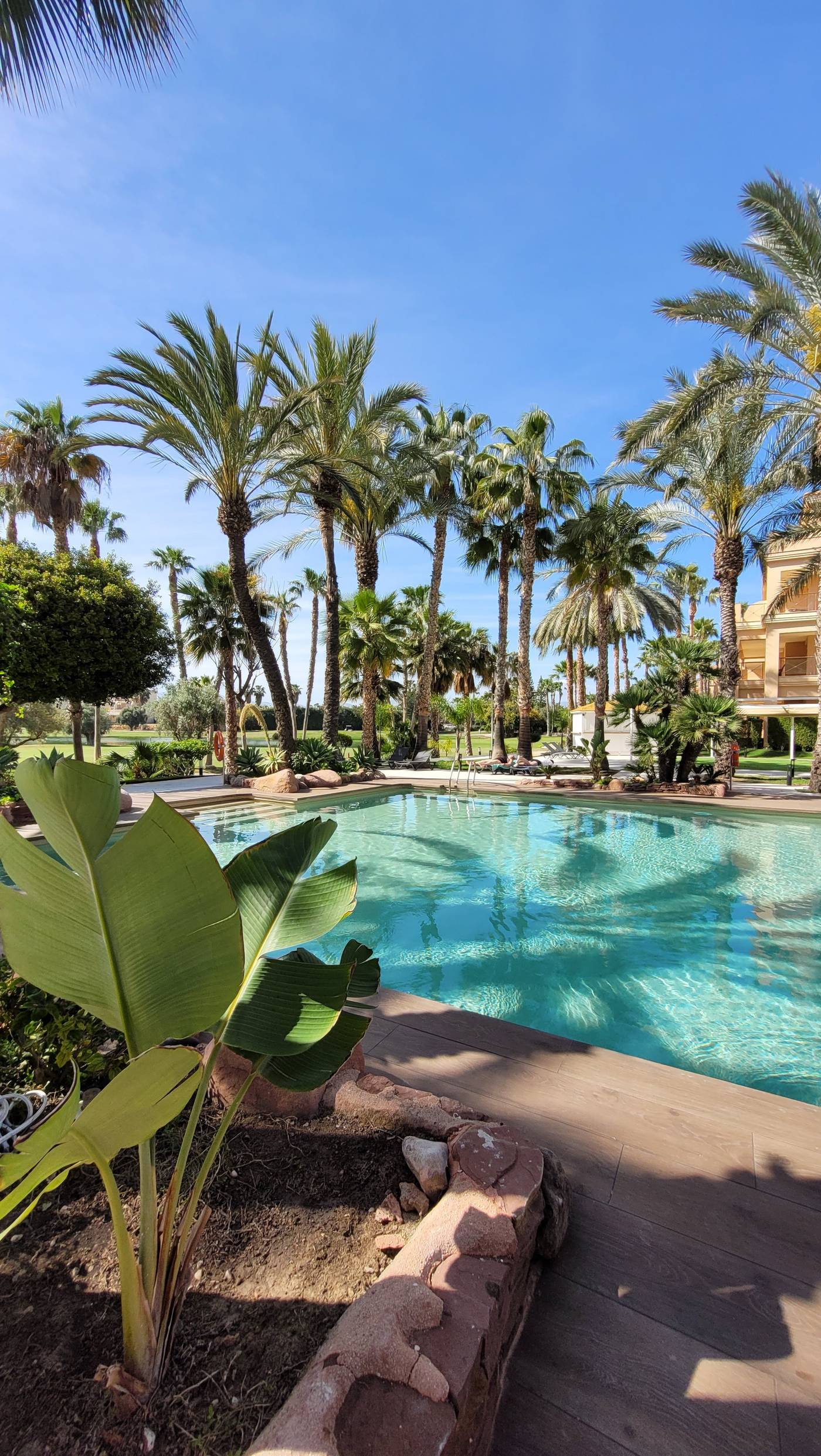 Husa-Alicante-Golf-Pool-5