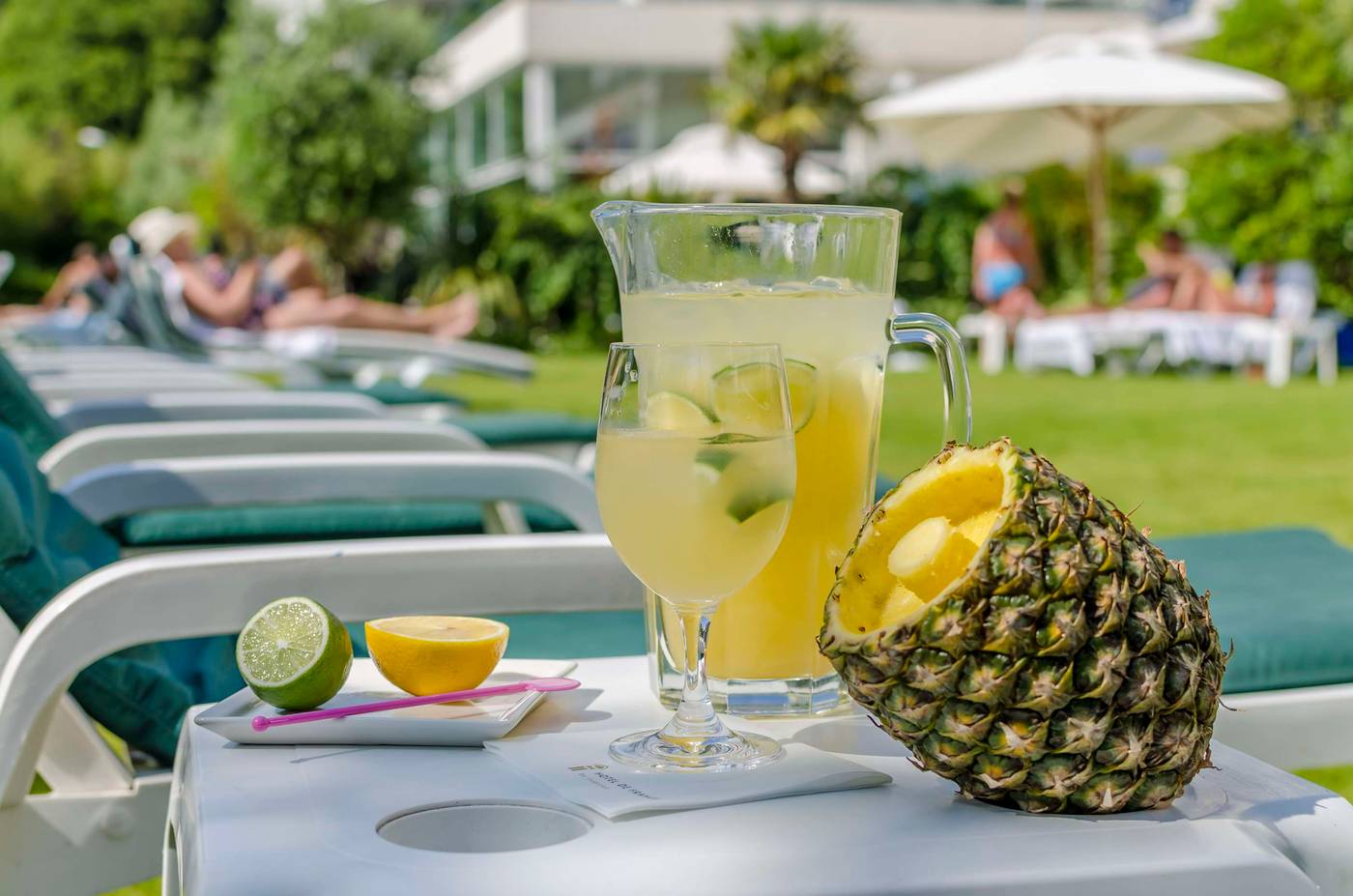 De-France-Terrace-28