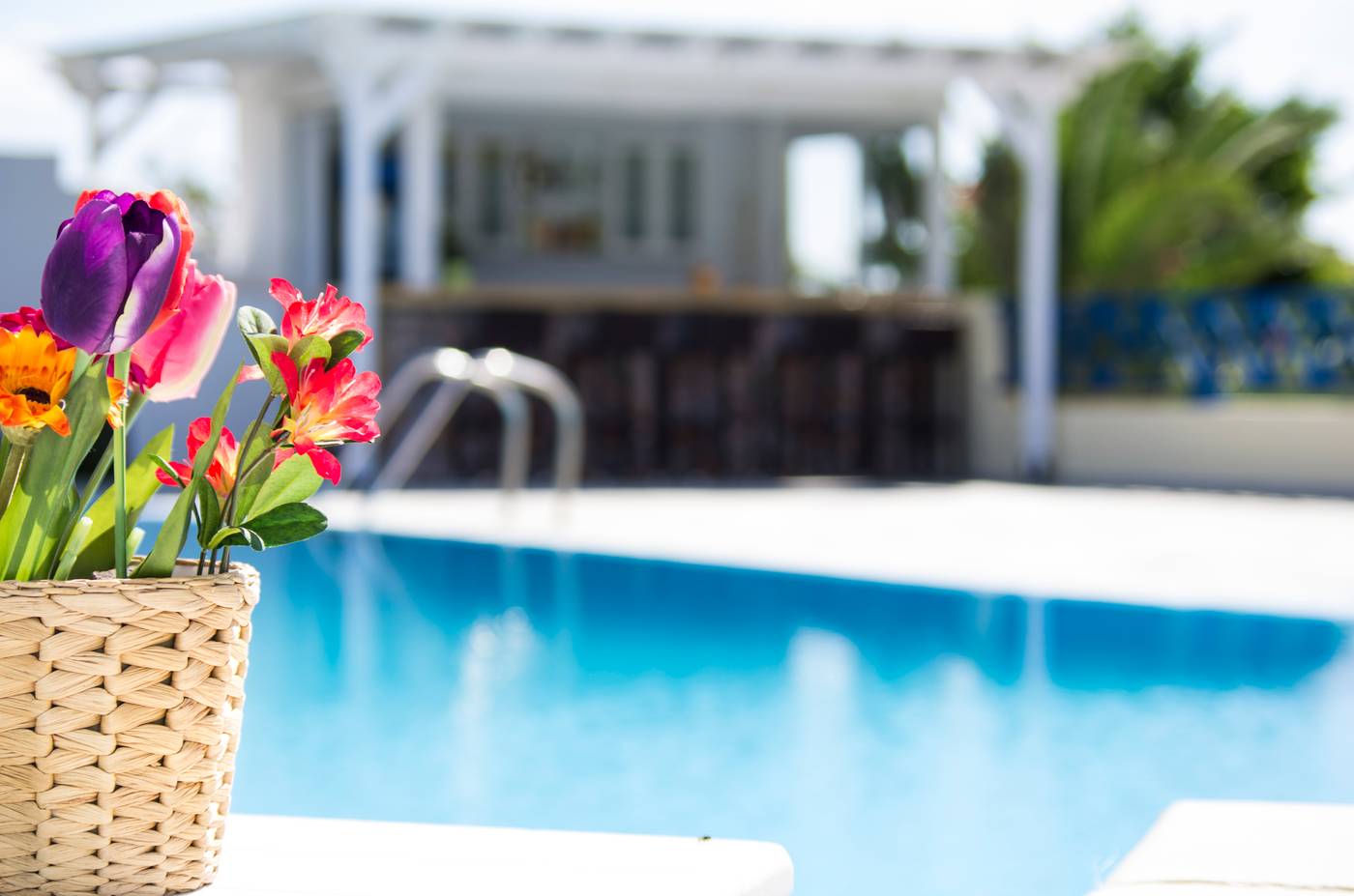 Margarenia-Studios-General-view-16