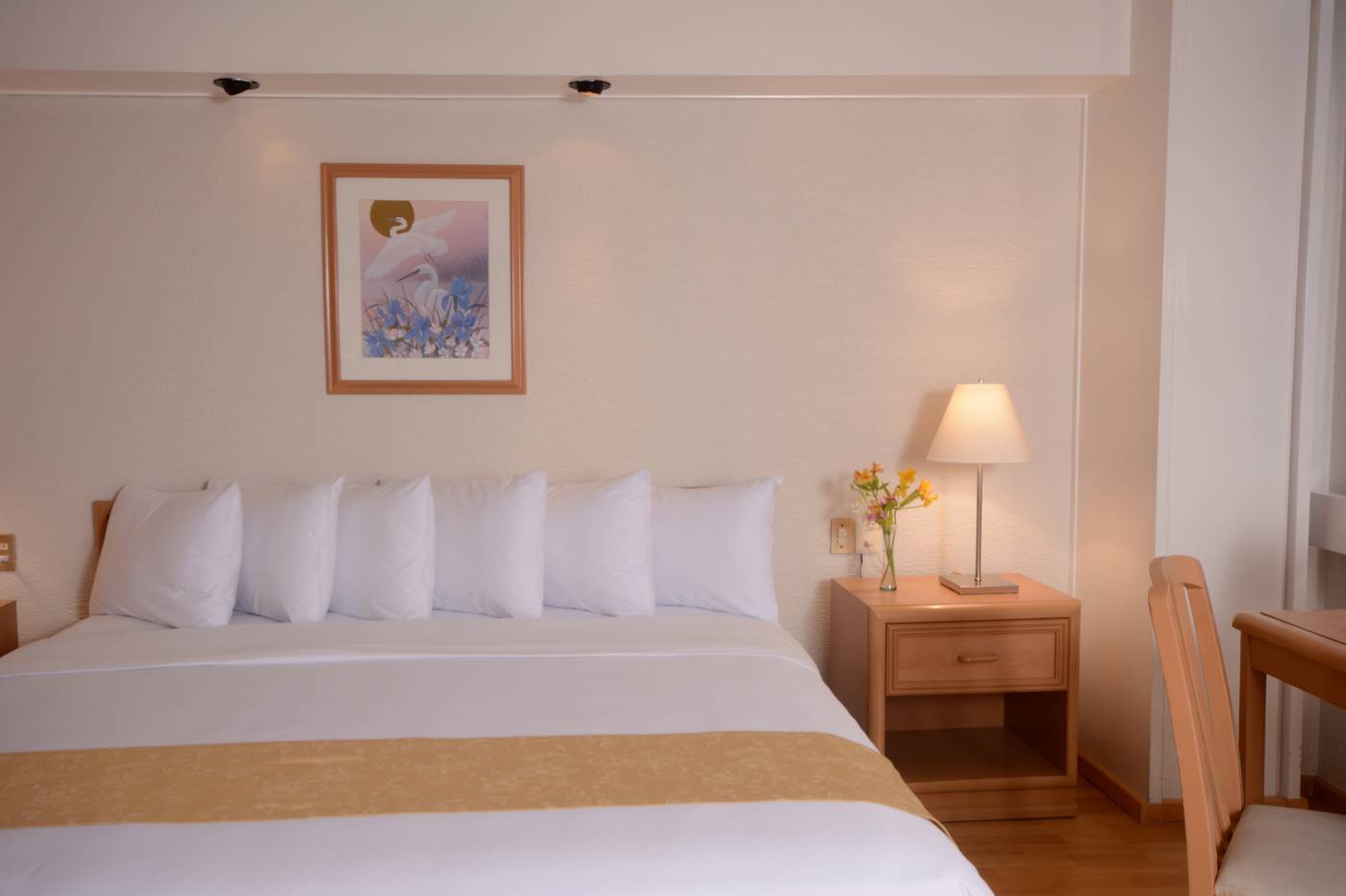 Hotel PF-Mexico-Ciudad De Mexico-Room-8