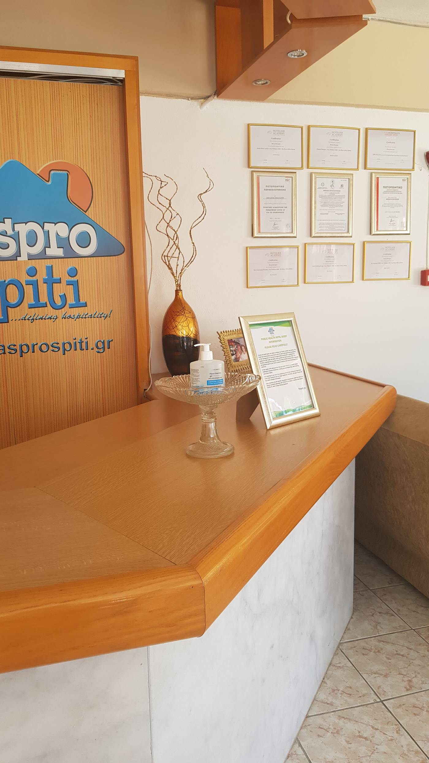 Aspro-Spiti-Lobby-35
