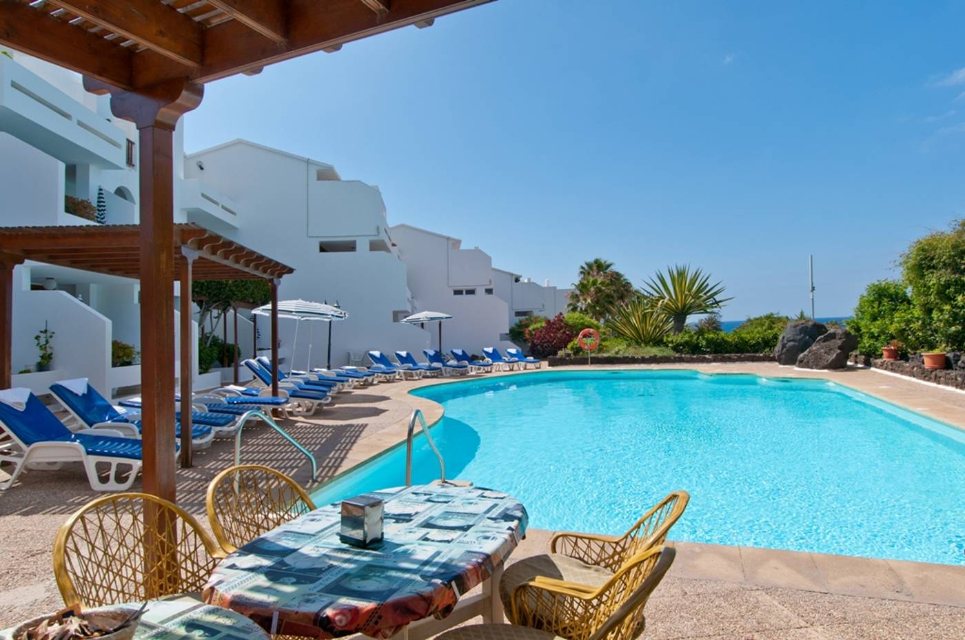 Camel-Spring-General-view-7