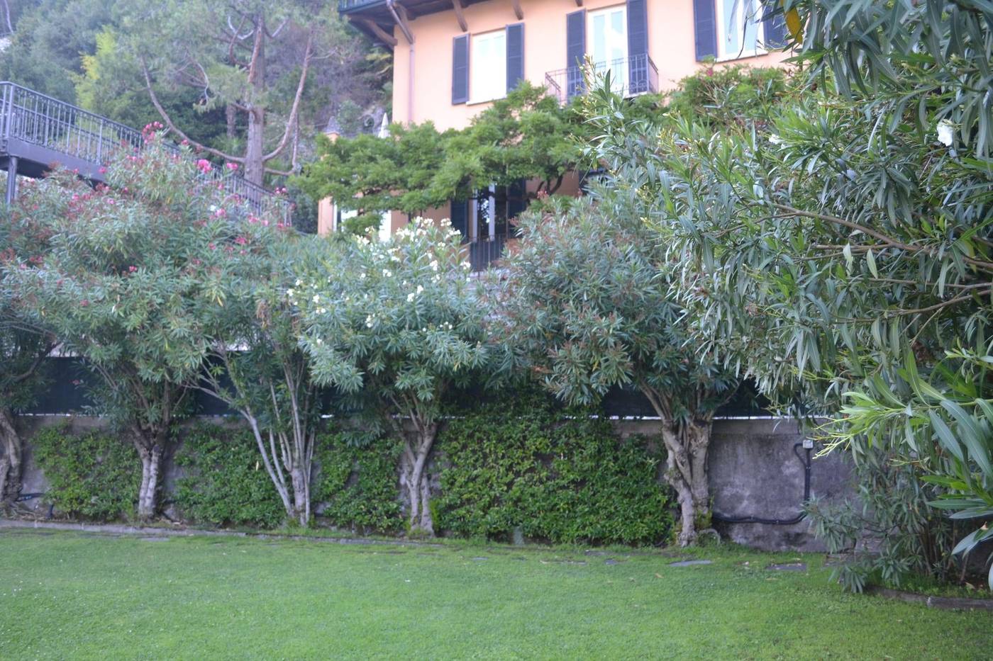 Villa Nina Relais Boutique B&B-Italy-Carate Urio-General view-2