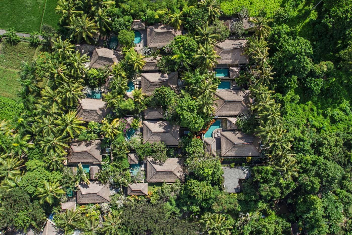 The Ubud Village Resort & Spa-Indonesia-BALI-General view-2