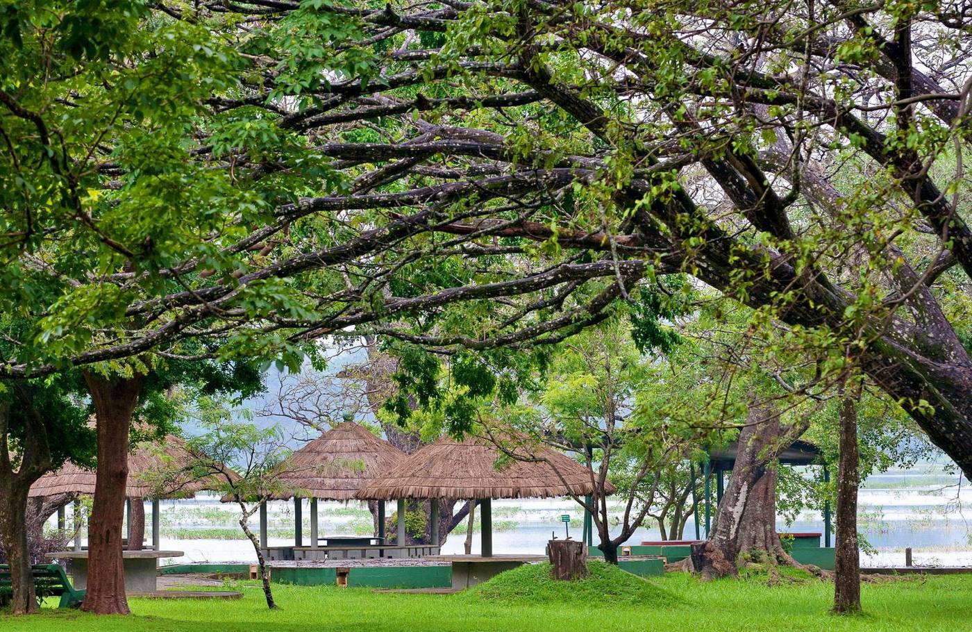 Habarana Village By Cinnamon-Sri Lanka-HABARANA-General view-1