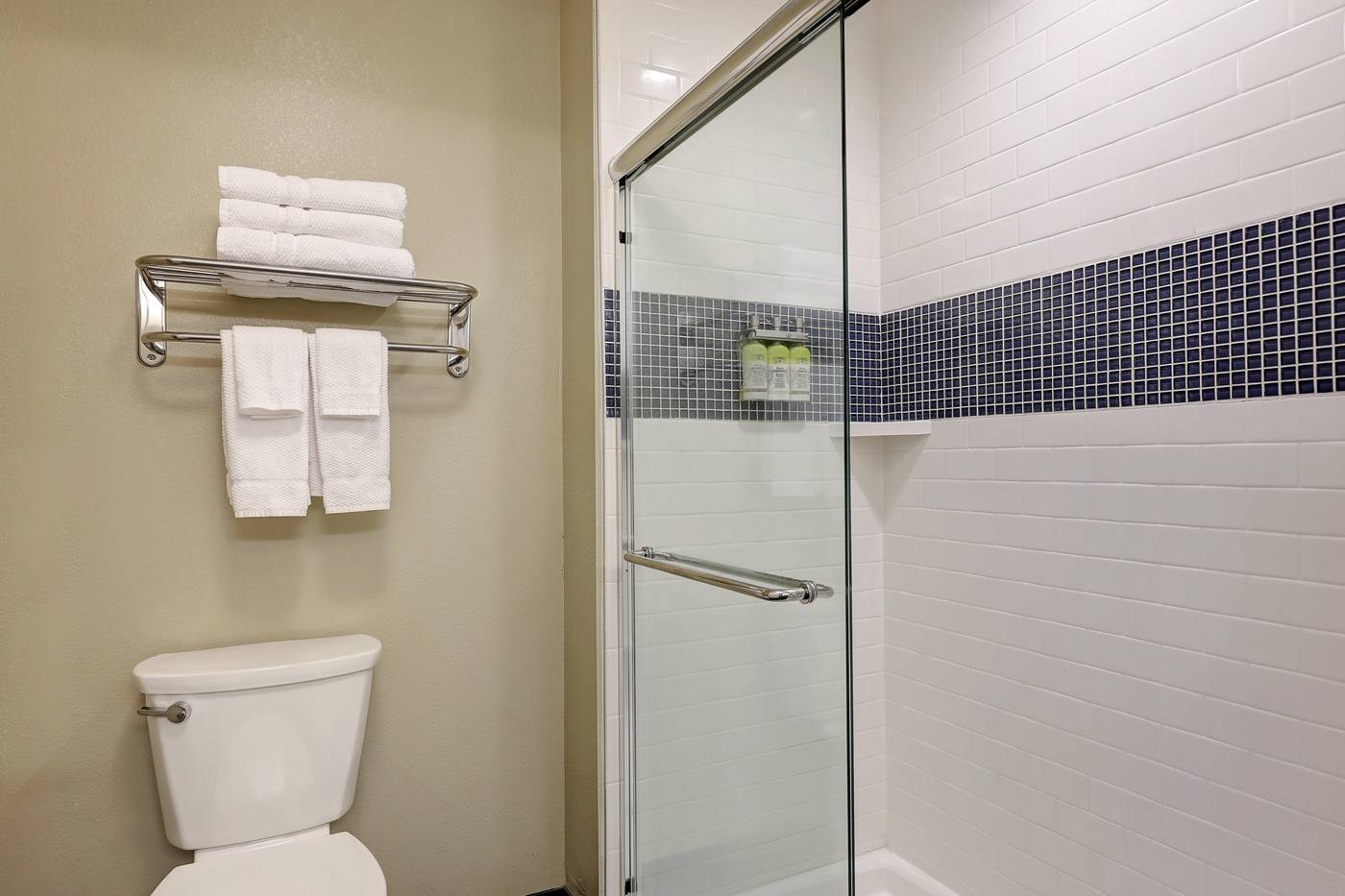 Staybridge Suites Washington D.C. Greenbelt - United States - LANHAM - Room - 9