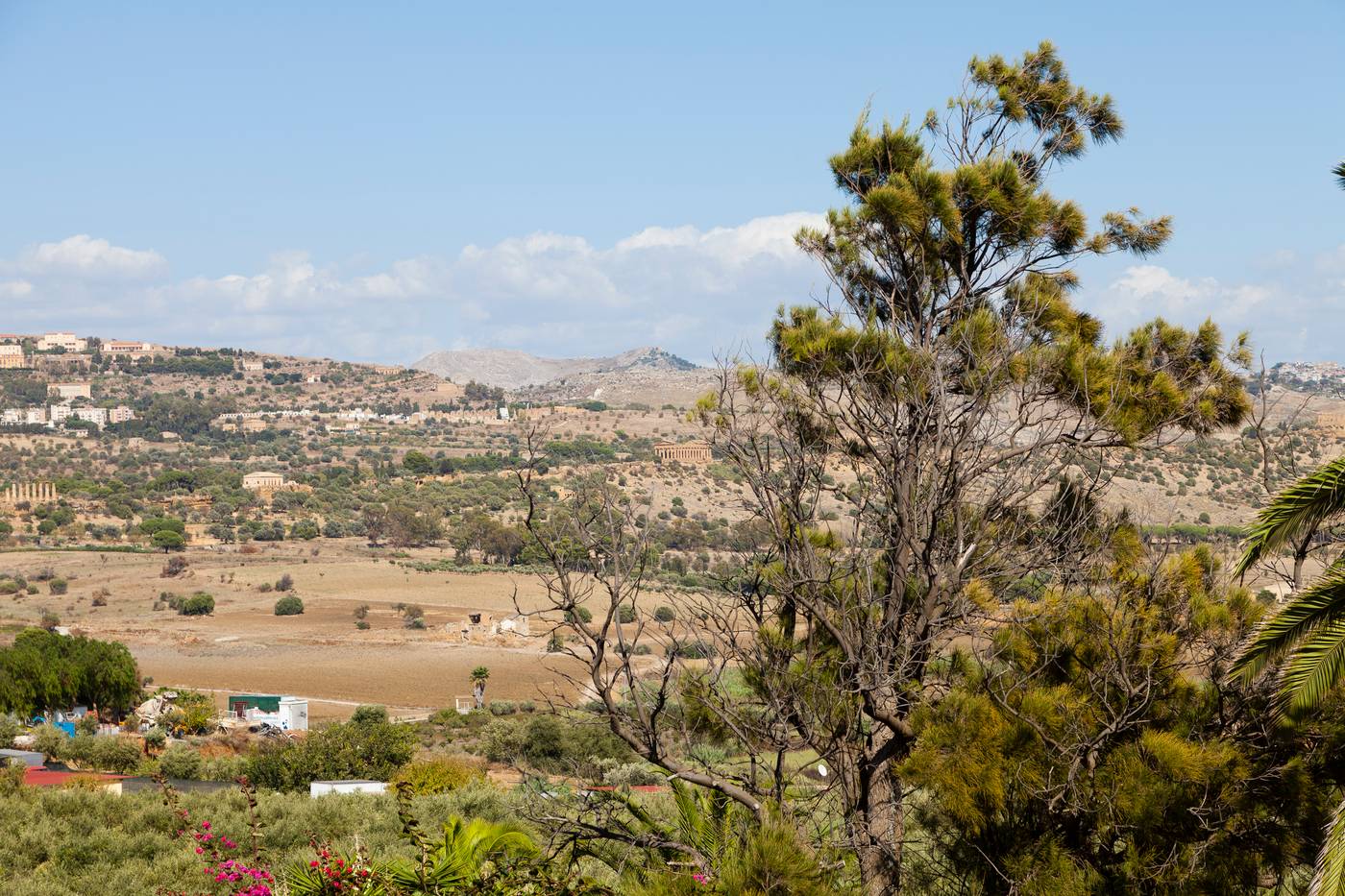 Hotel-Foresteria-Baglio-della-Luna-Room-18