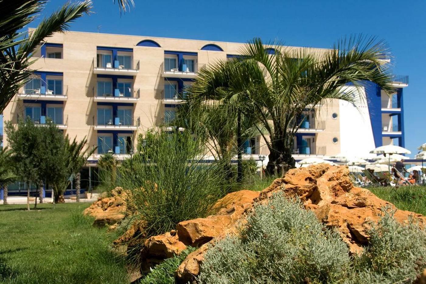 Roses-General-view-3