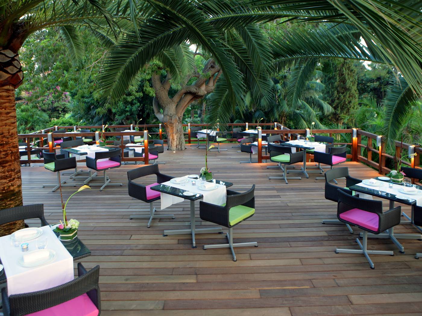 Don Carlos Leisure Resort & Spa