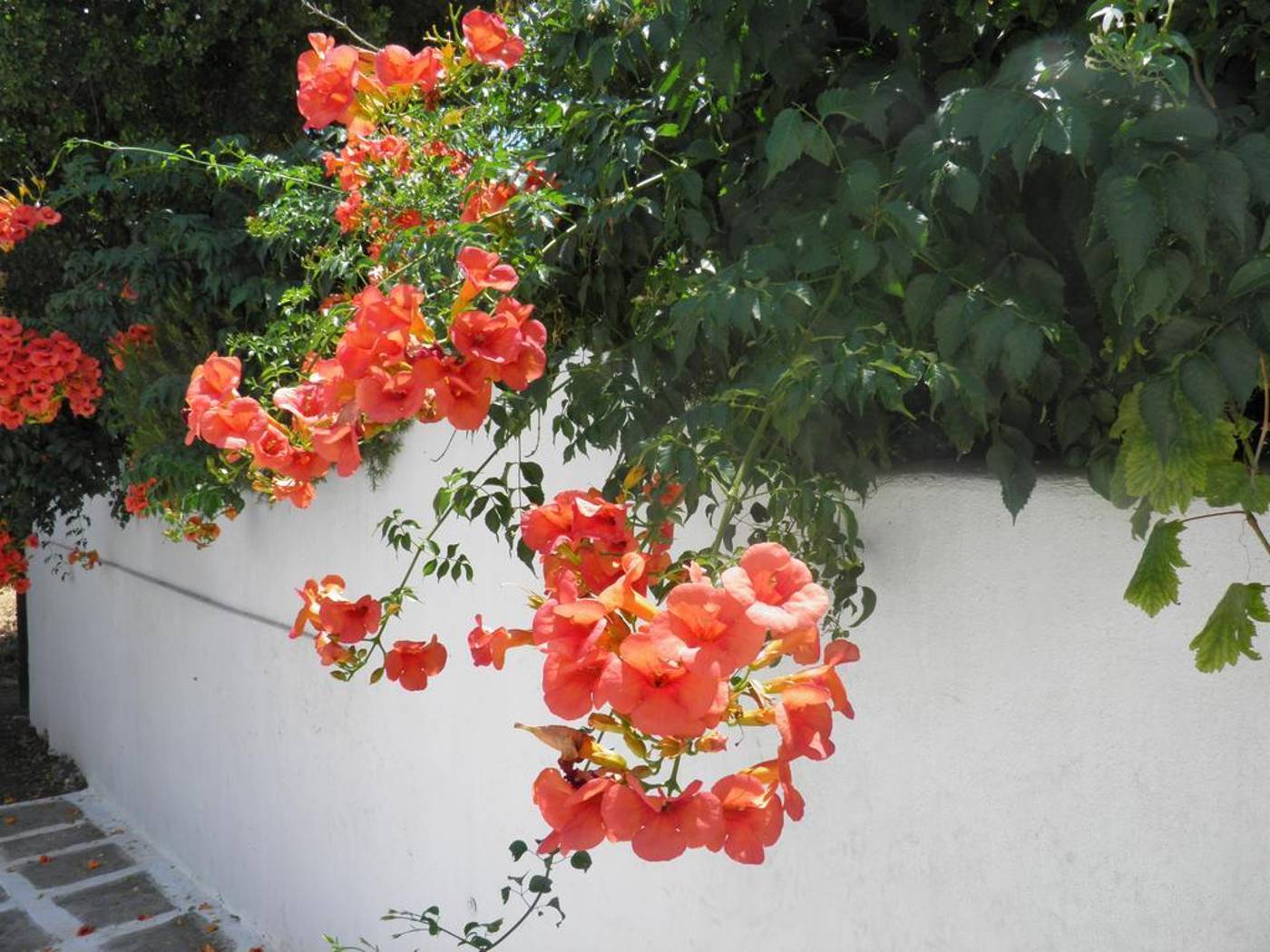 Anastasios-Sevasti-Hotel-General-view-7