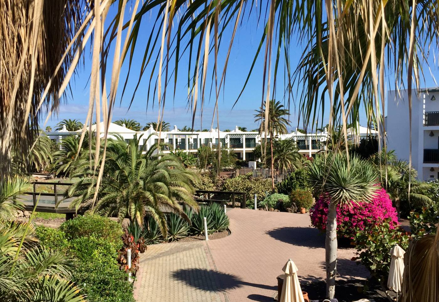 Las-Marismas-de-Corralejo-Terrace-24