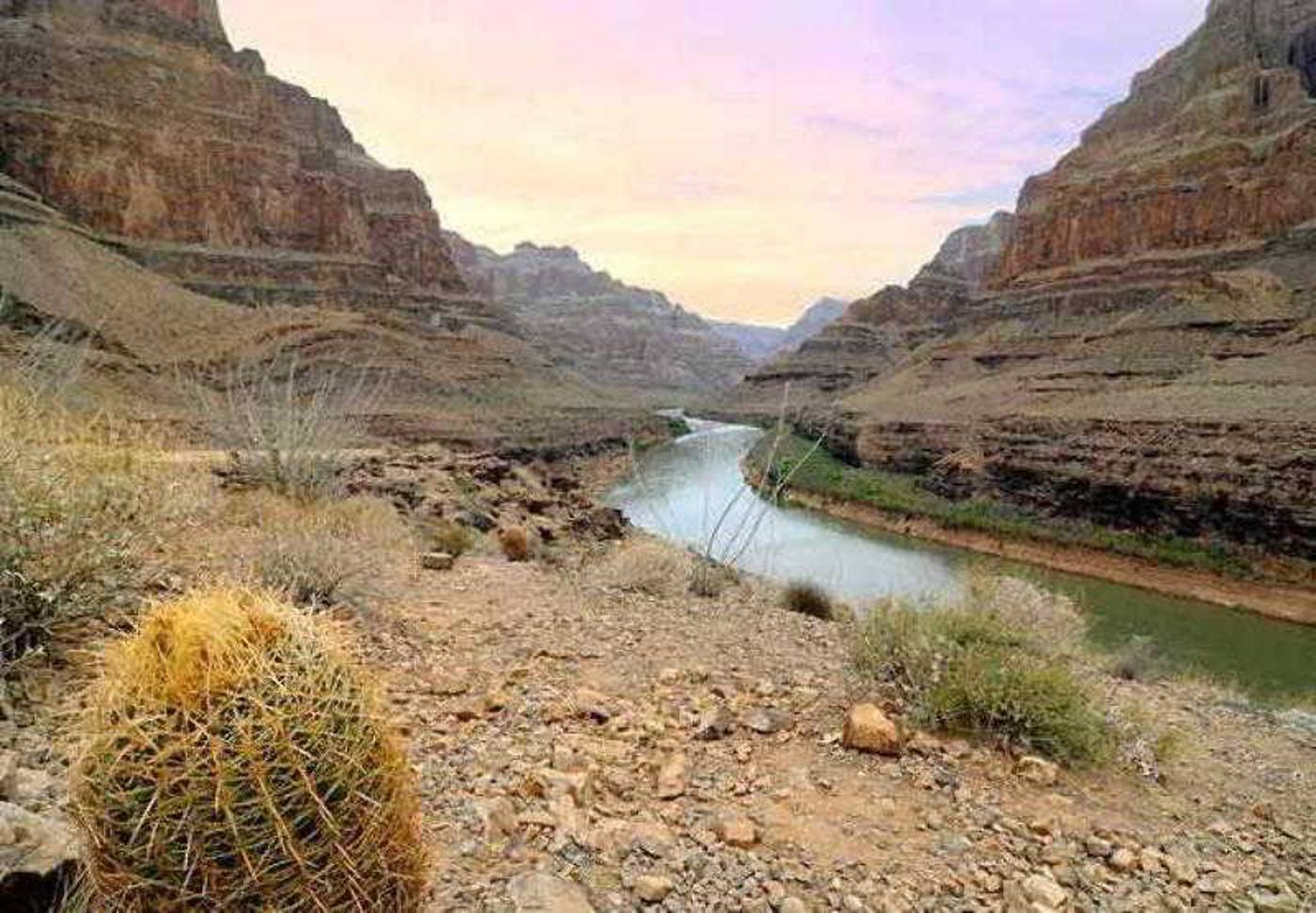 Courtyard By Marriott Las Vegas Stadium Area-United States-Las Vegas-General view-10