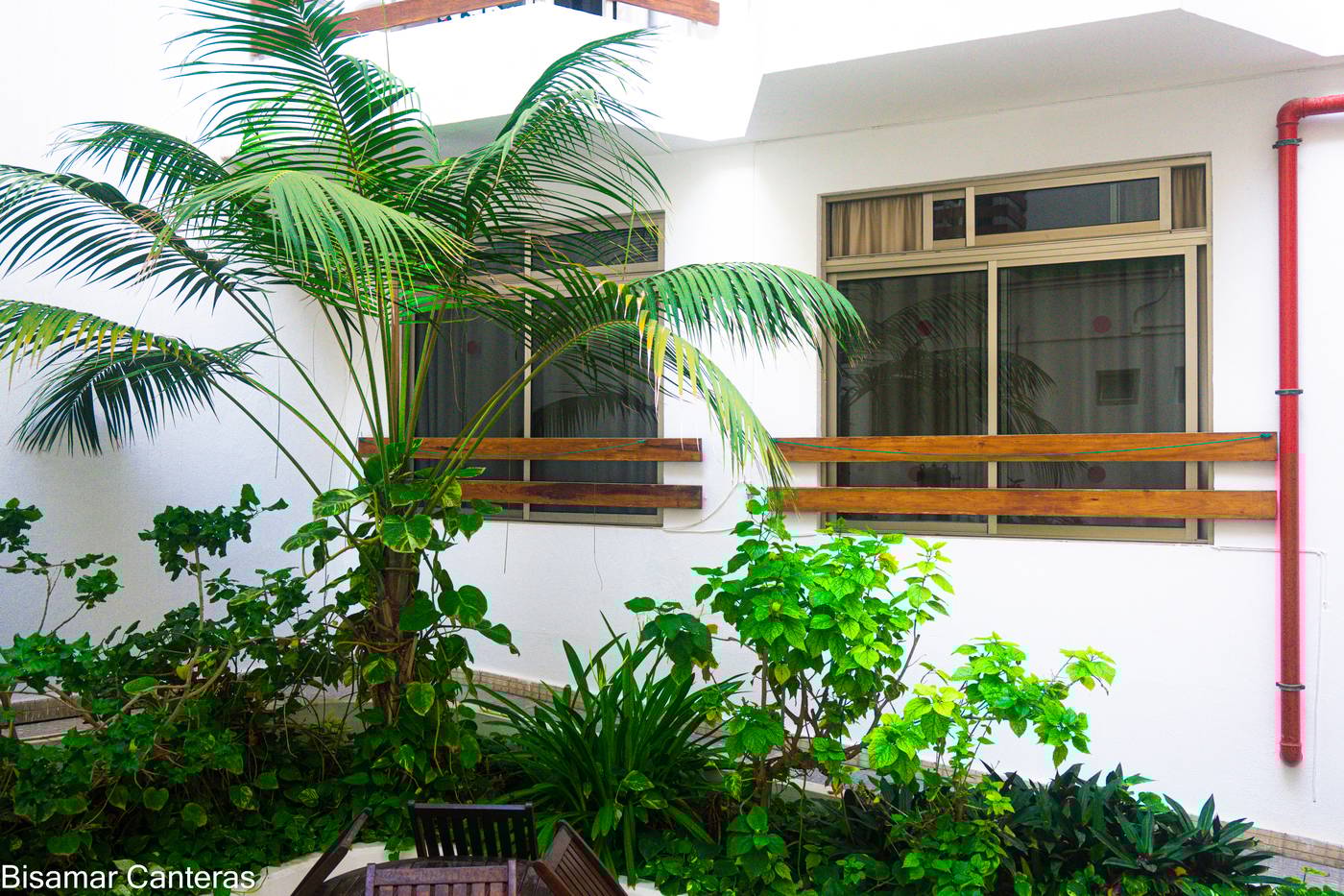 Brisamar-Canteras-Room-4