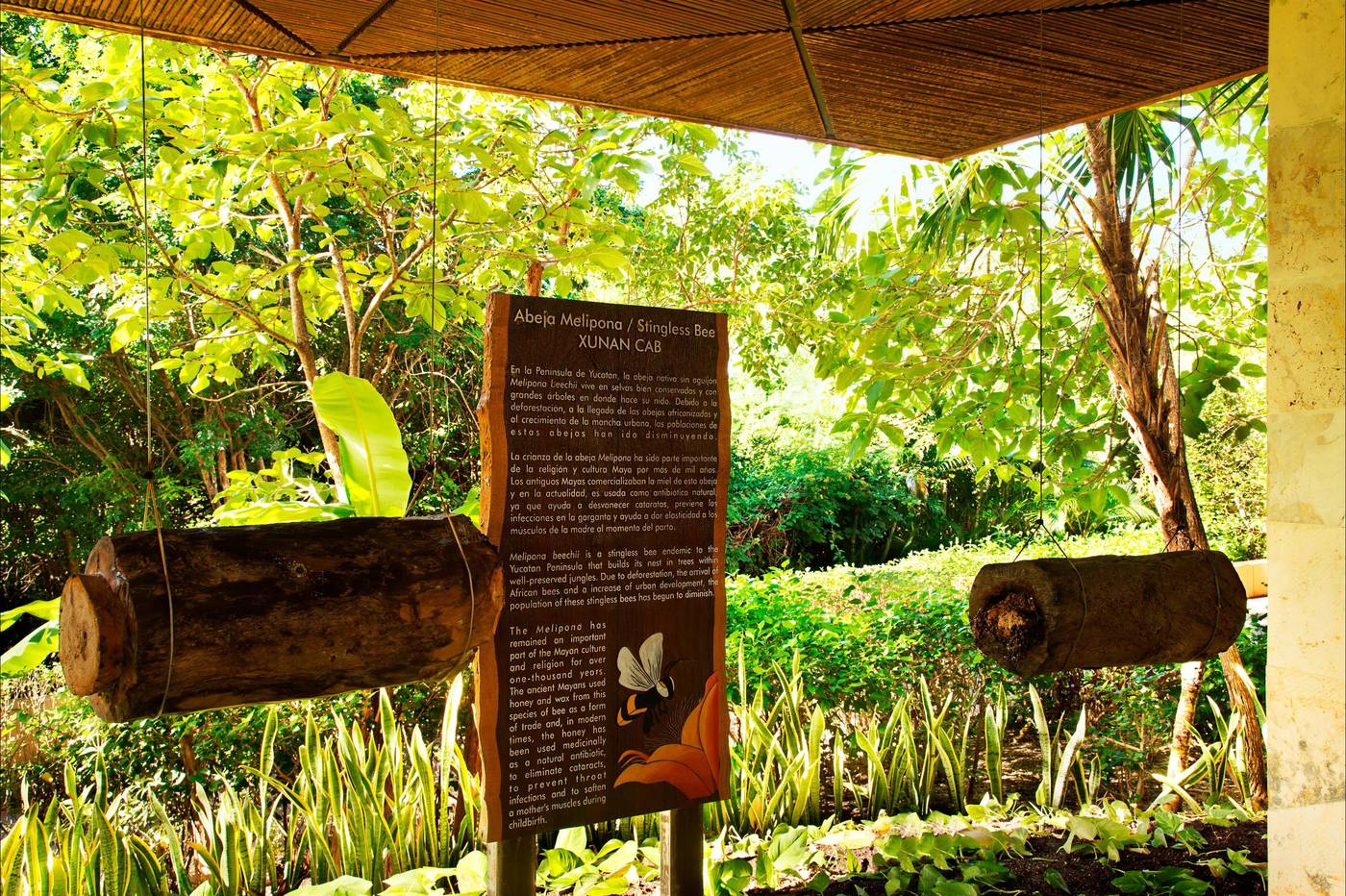 Fairmont-Mayakoba-Sports-and-Entertainment-21