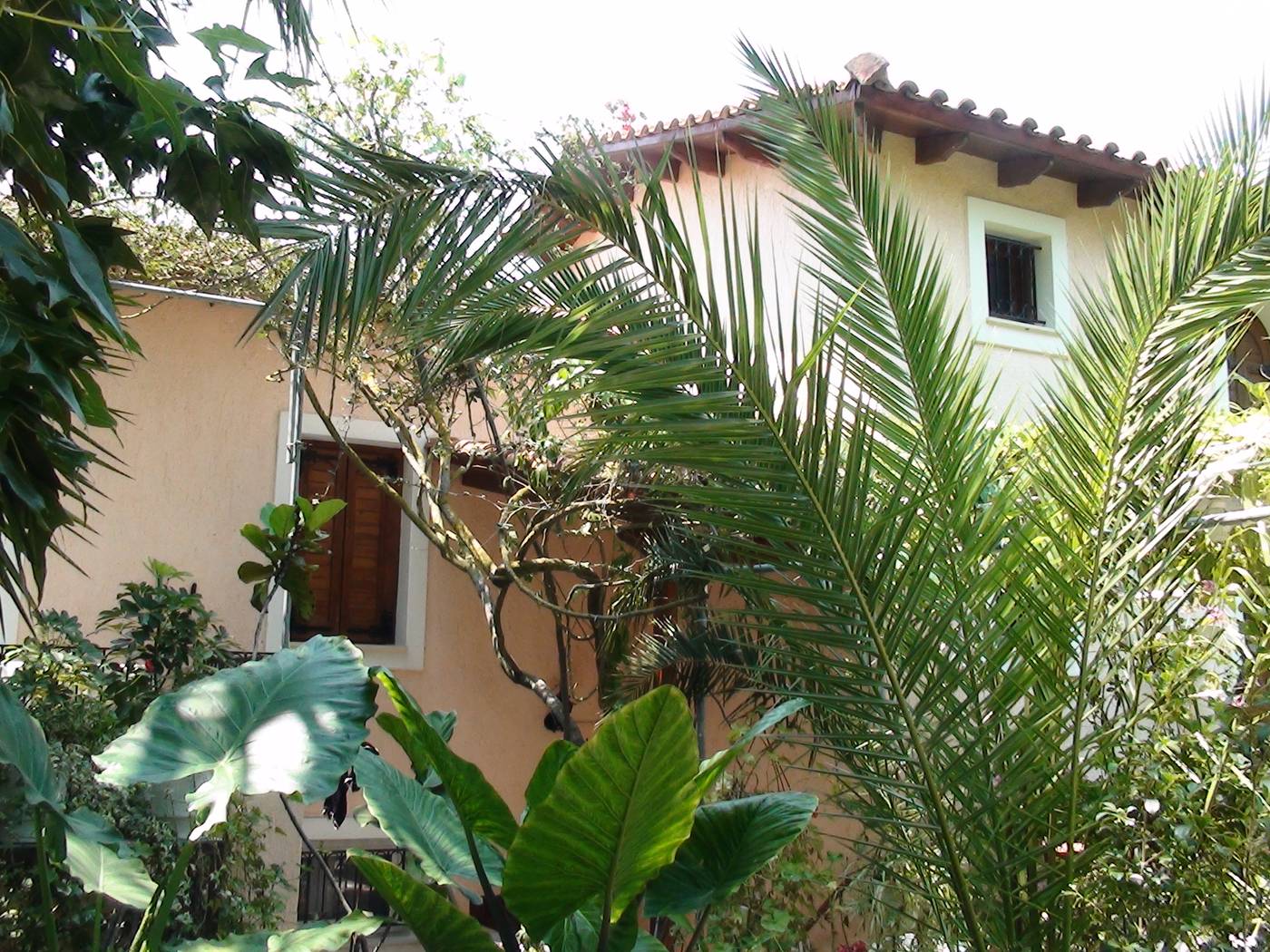 Baha-Ammes-General-view-5