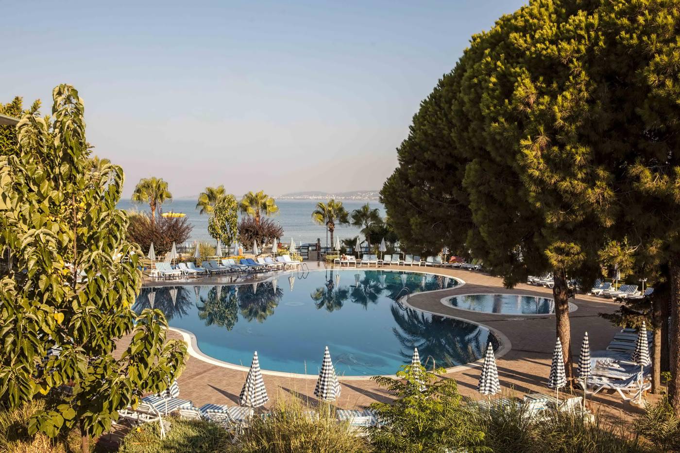 Lonicera--World-Pool-8
