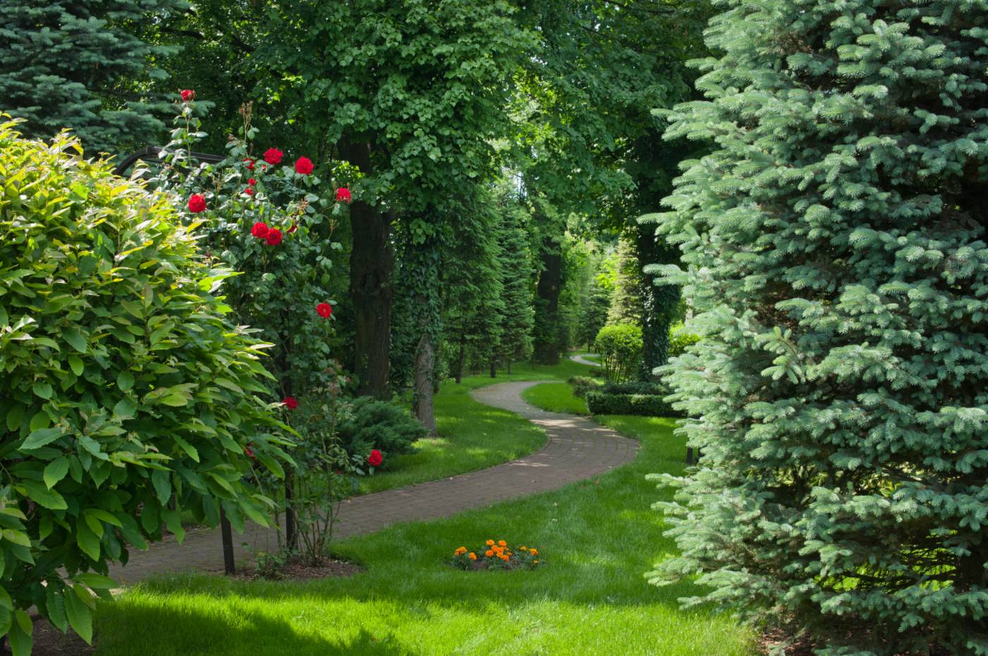 Booking-Hotel-Crown-Piast---Spa-Terrace-39