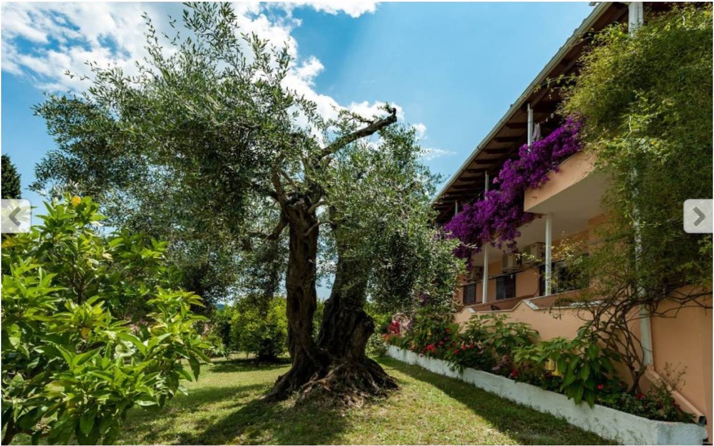 Marilena-Apartmets---Studios-General-view-4