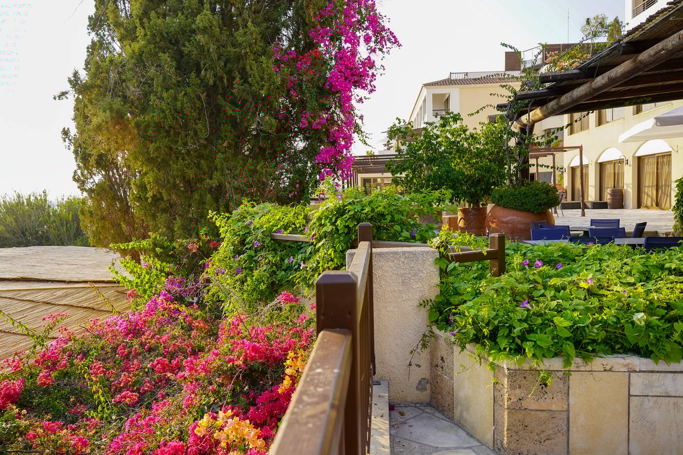 Coral-Beach-Hotel-and-Resort-Terrace-12