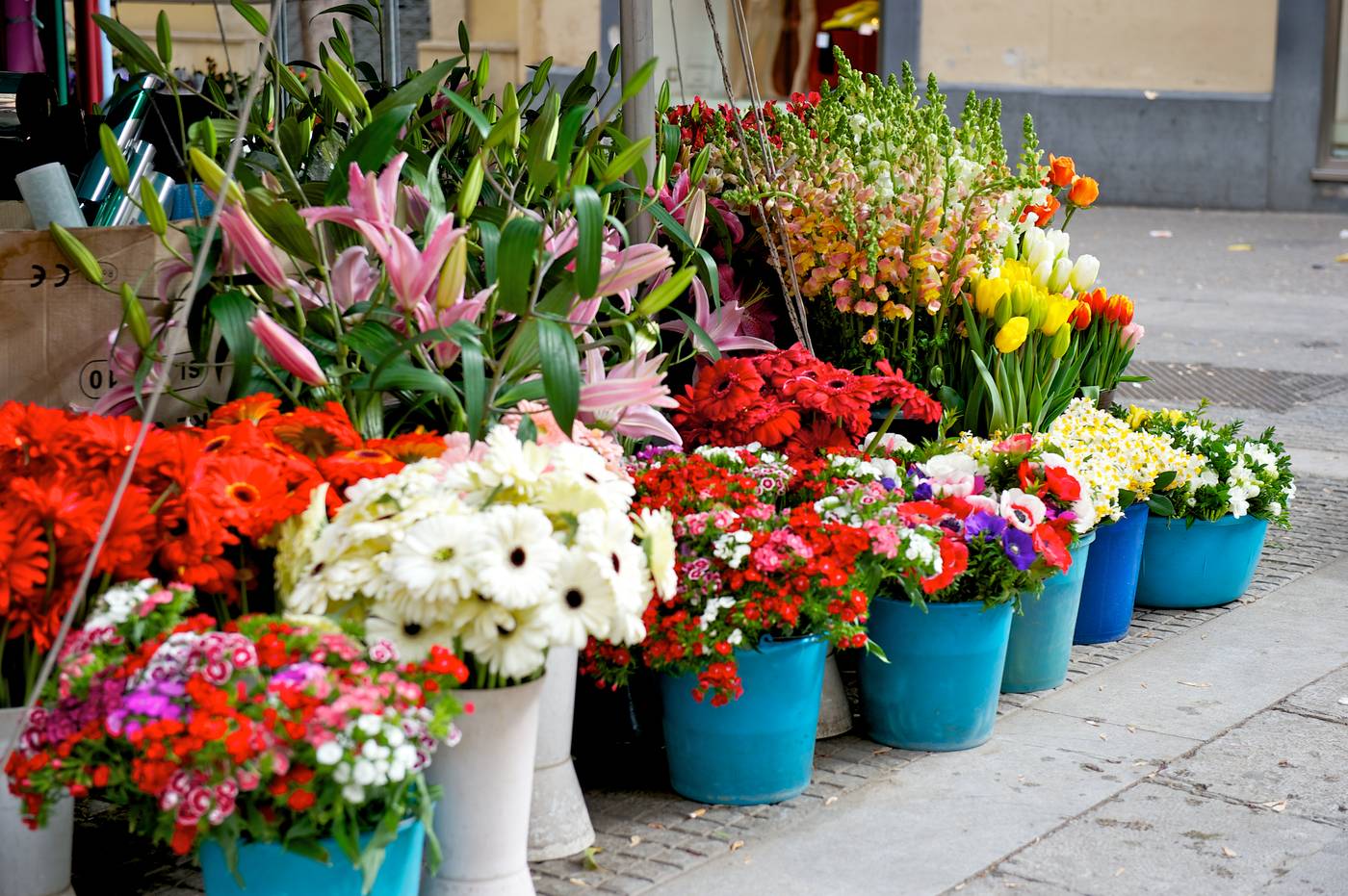 Mercure-Palermo-Centro-Sports-and-Entertainment-20