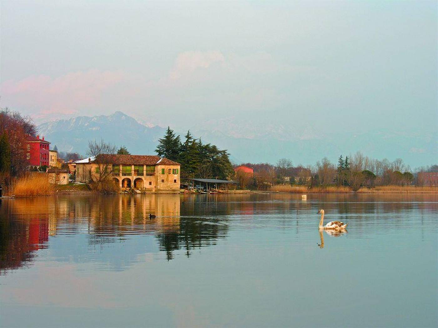 Grand Cadenabbia-Italy-Cadenabbia -General view-7