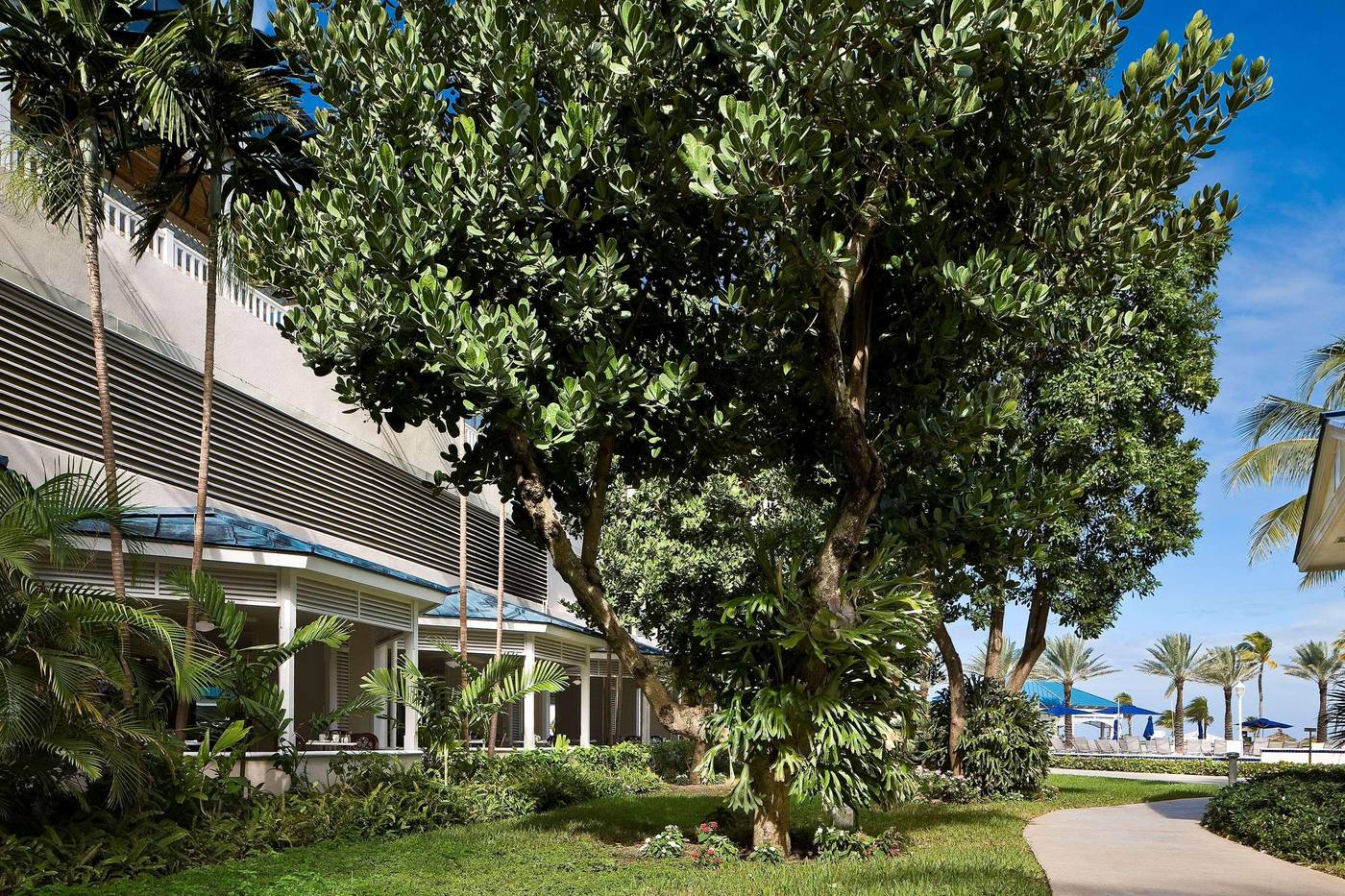 Melia-Nassau-Beach-All-Inclusive-Restaurant-9