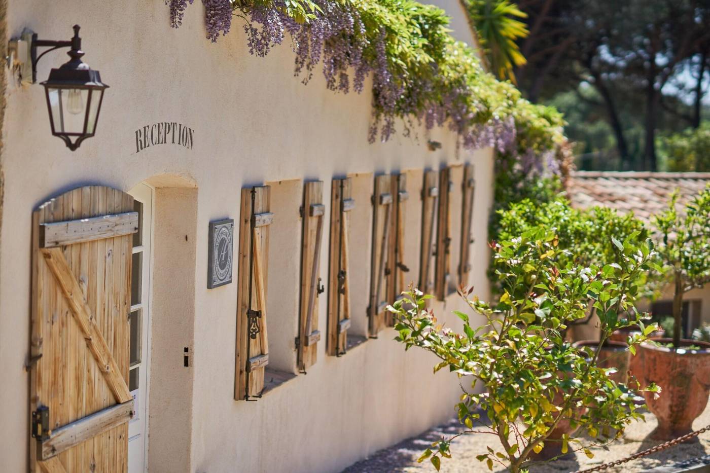 La-Ferme-D-Augustin-Lobby-15
