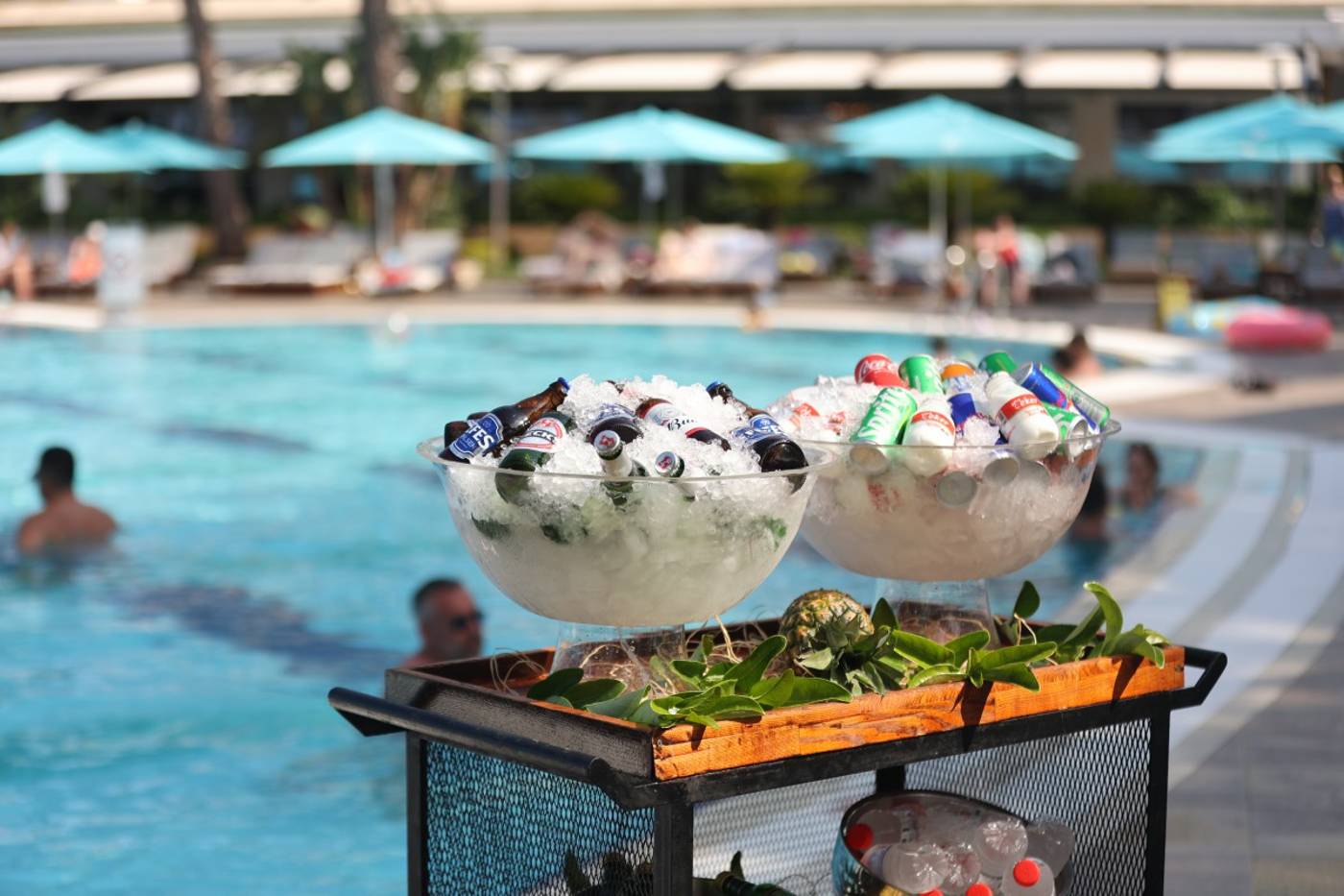 Nirvana Mediterranean Excellence