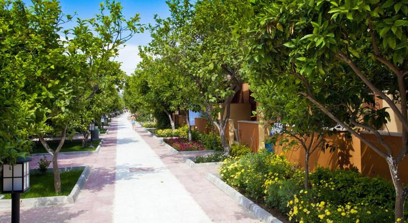 Ozlem-Garden-Terrace-9