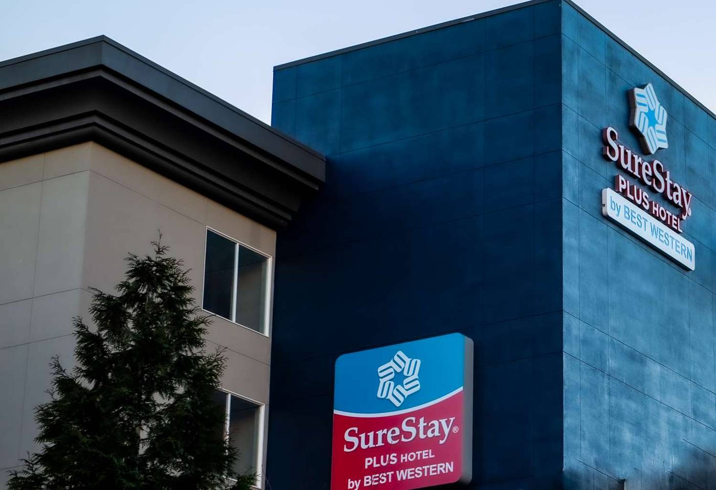 SureStay Plus by Best Western SeaTac Airport-United States-Seatac-General view-6