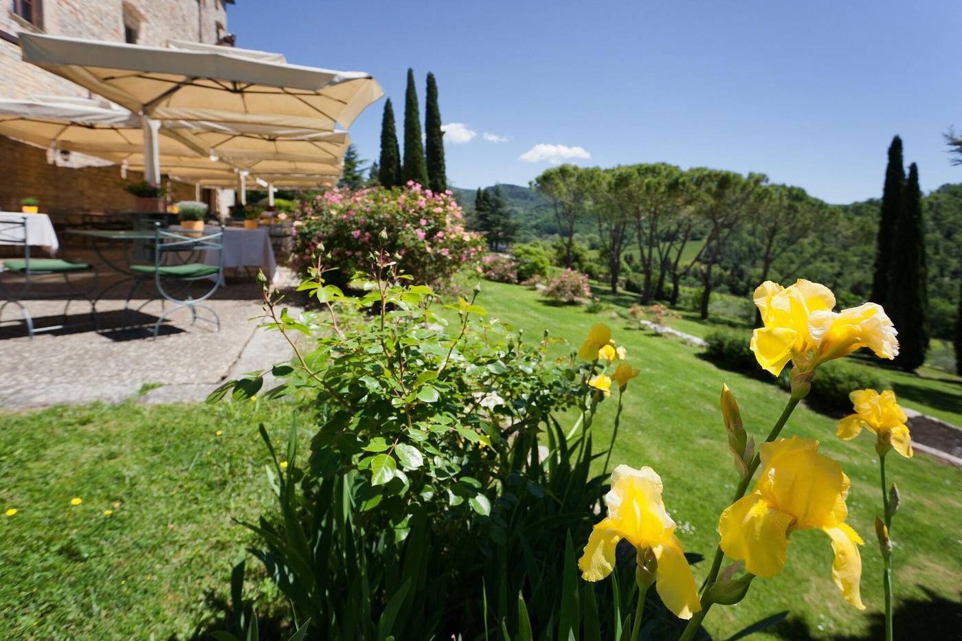 Castello Di Spaltenna-Italy-Gaiole In Chianti-General view-10