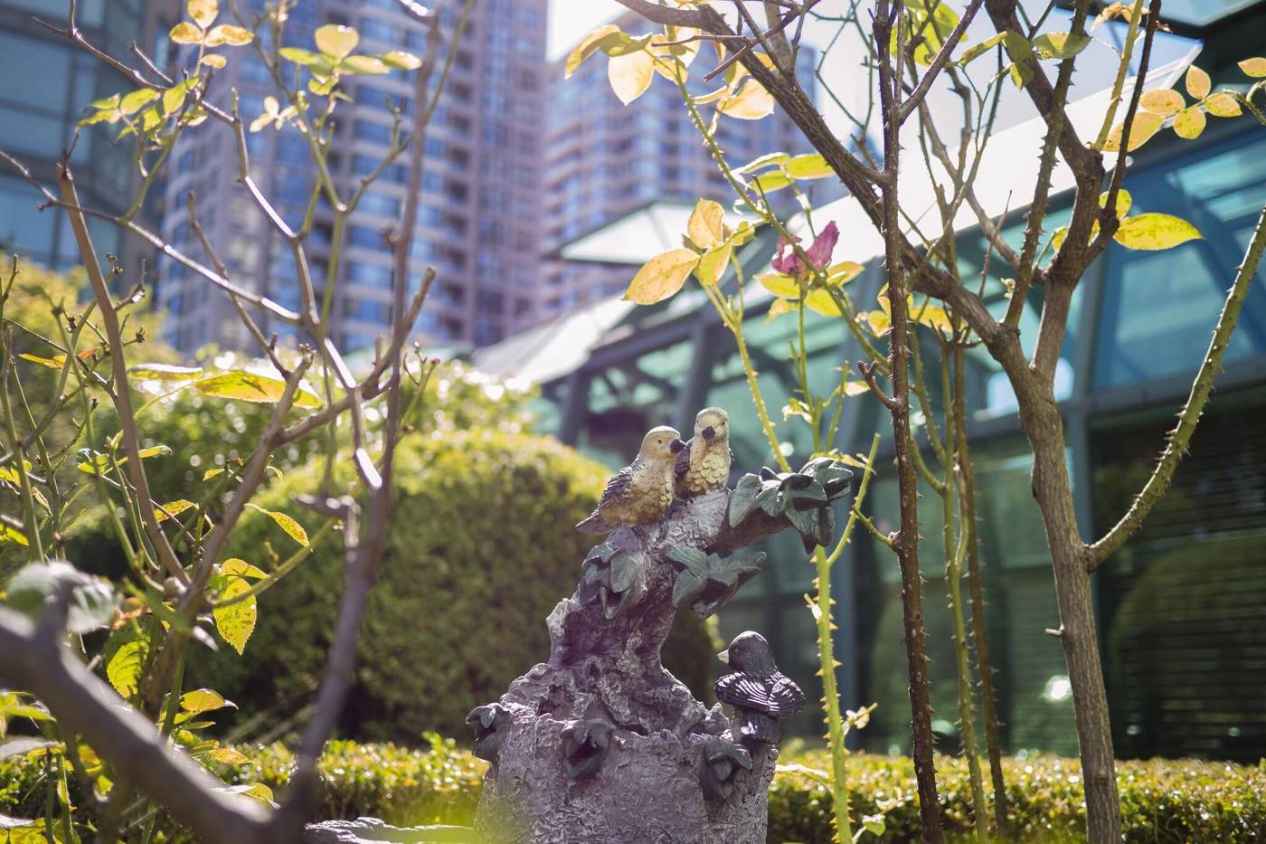 Rosedale-On-Robson-Suites-Hotel-General-view-65