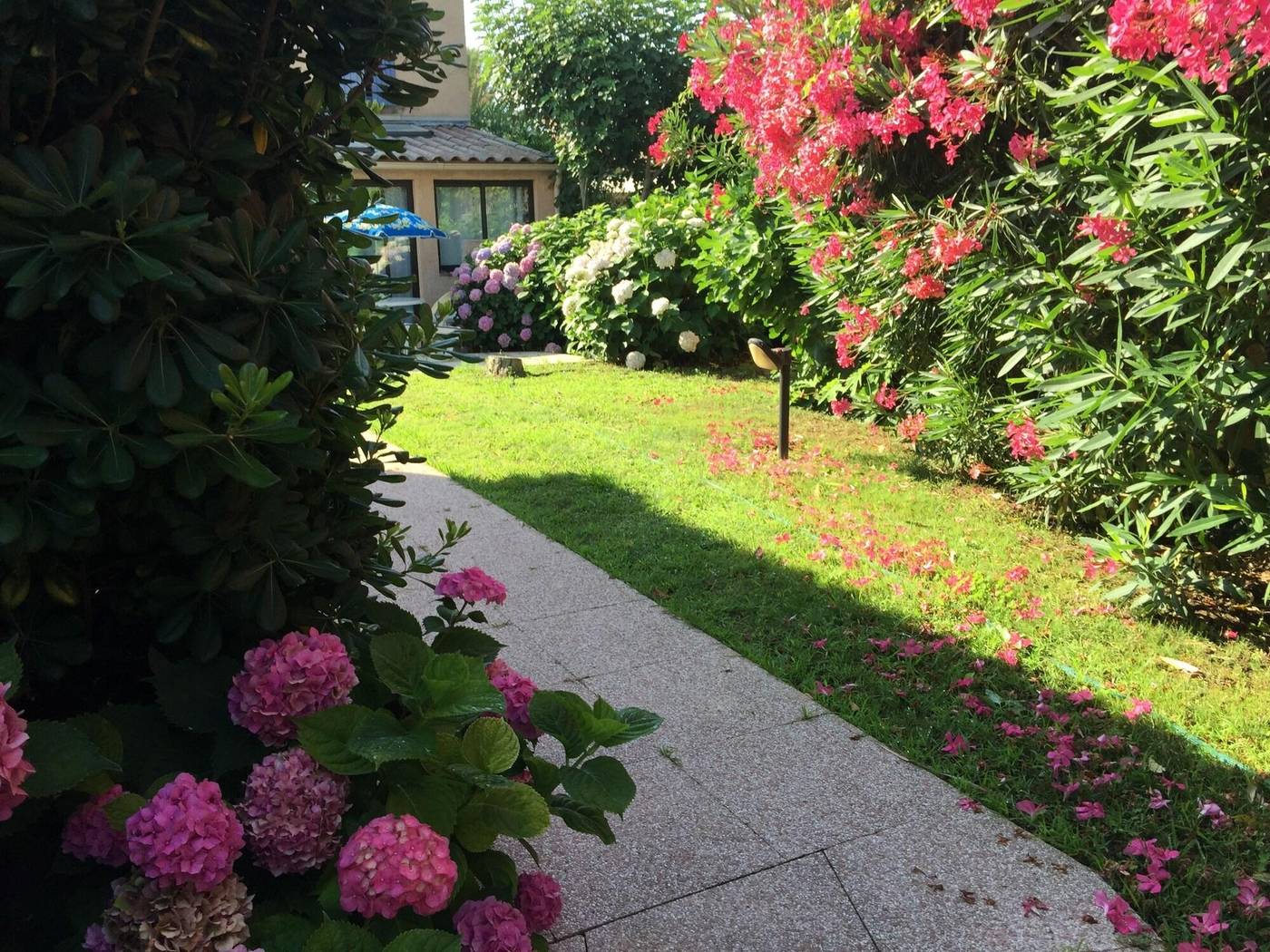 Citotel-La-Nartelle-General-view-16