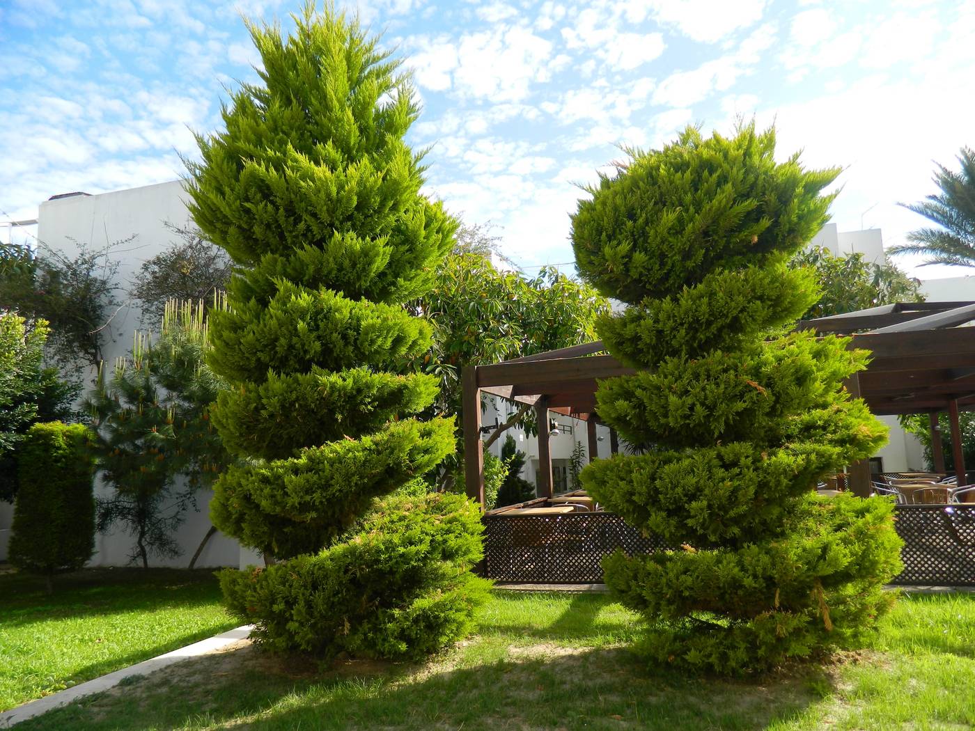 Yelken-Mandalinci-Spa---Wellness-General-view-21